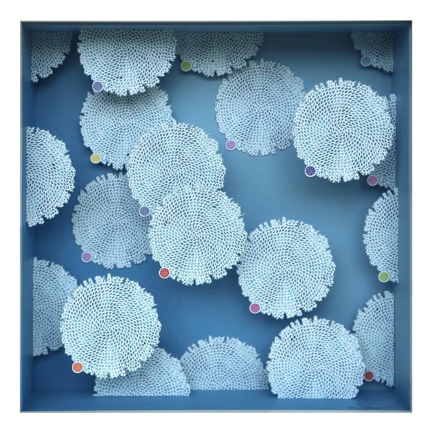 Mini CHUO Reef Fade Up 9