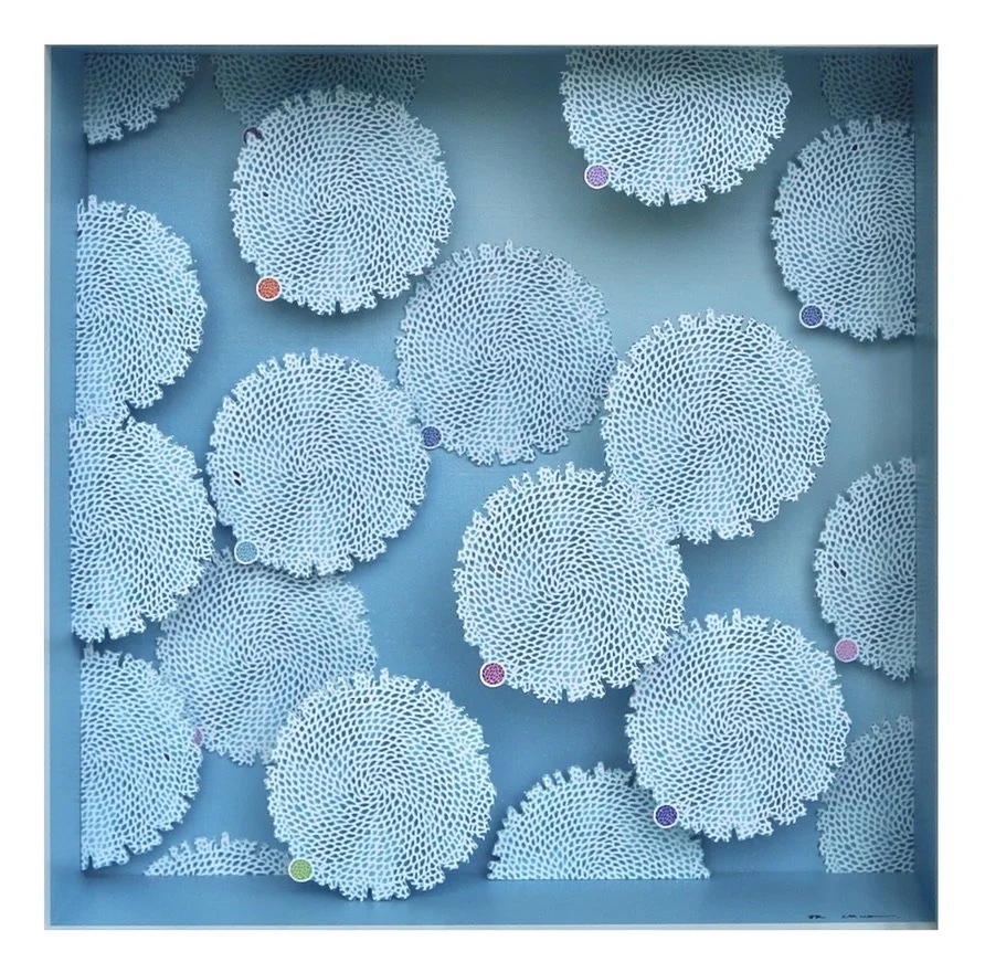 Mini CHUO Reef Fade Up 10