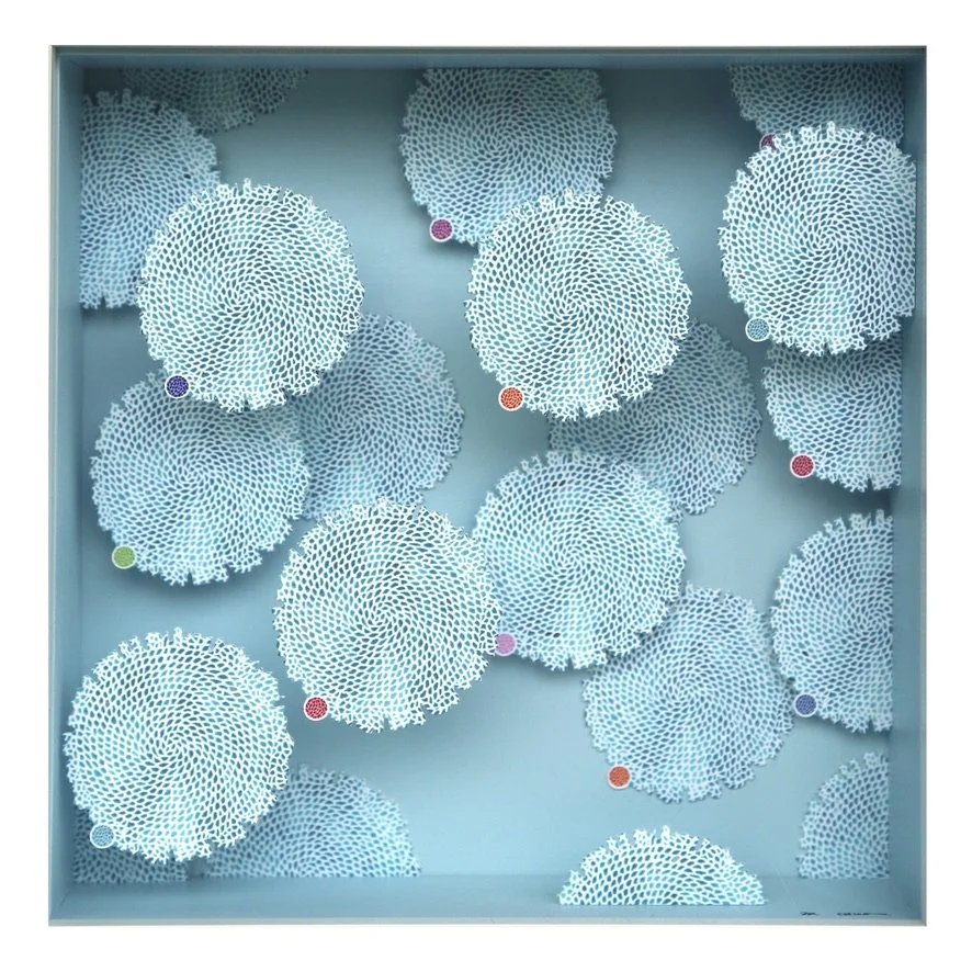 Mini CHUO Reef Fade Up 5