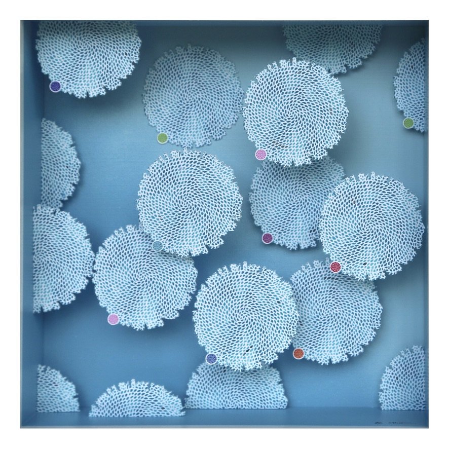 Mini CHUO Reef Fade Up 4