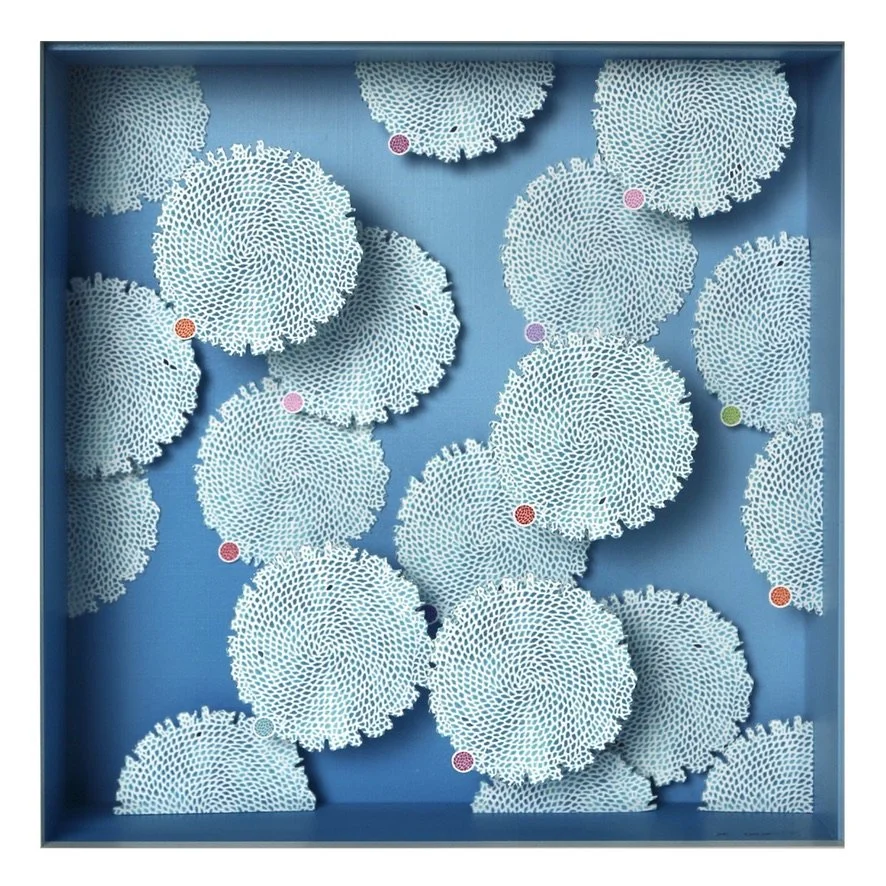 Mini CHUO Reef Fade Up 3