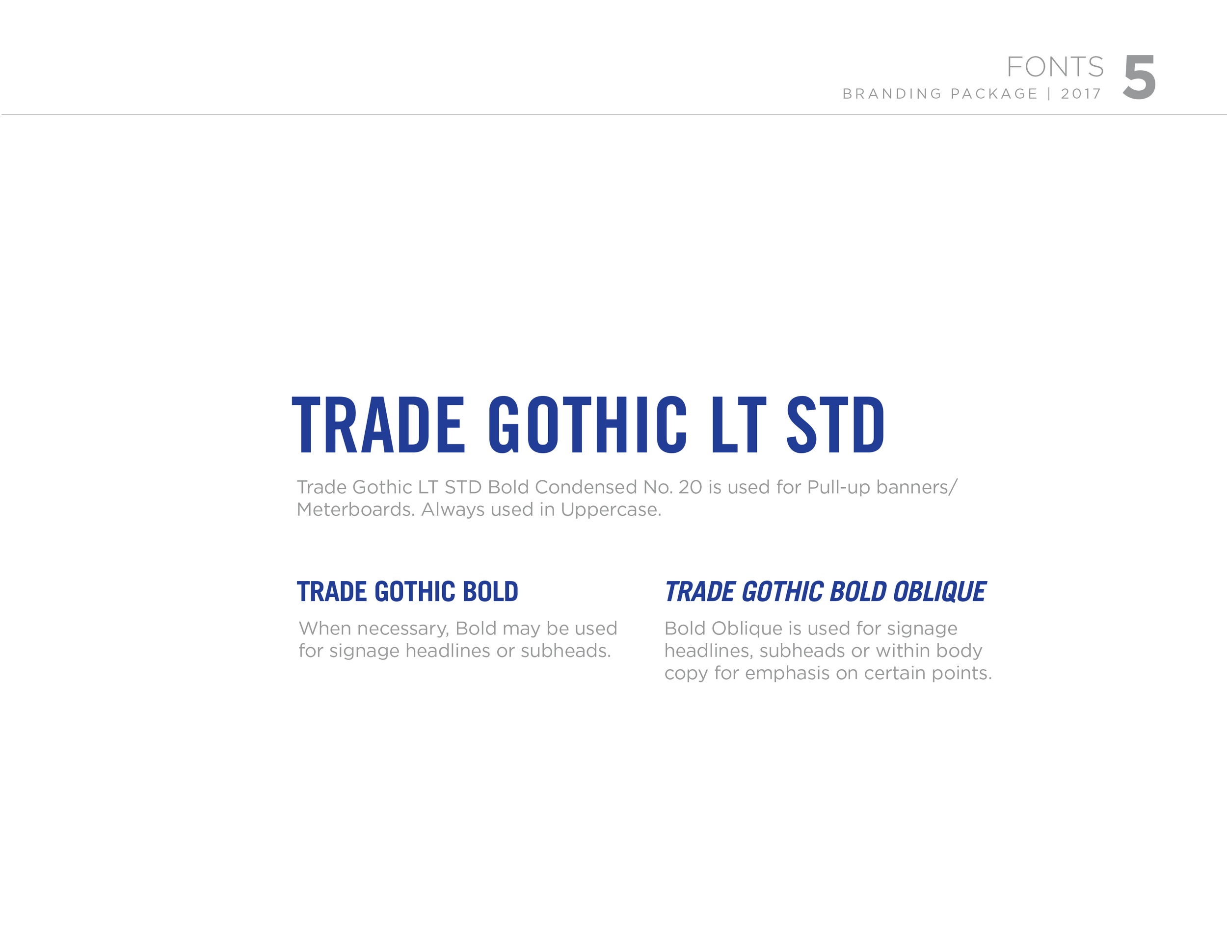 Event Theme, Visual Concepts, and Brand Guide