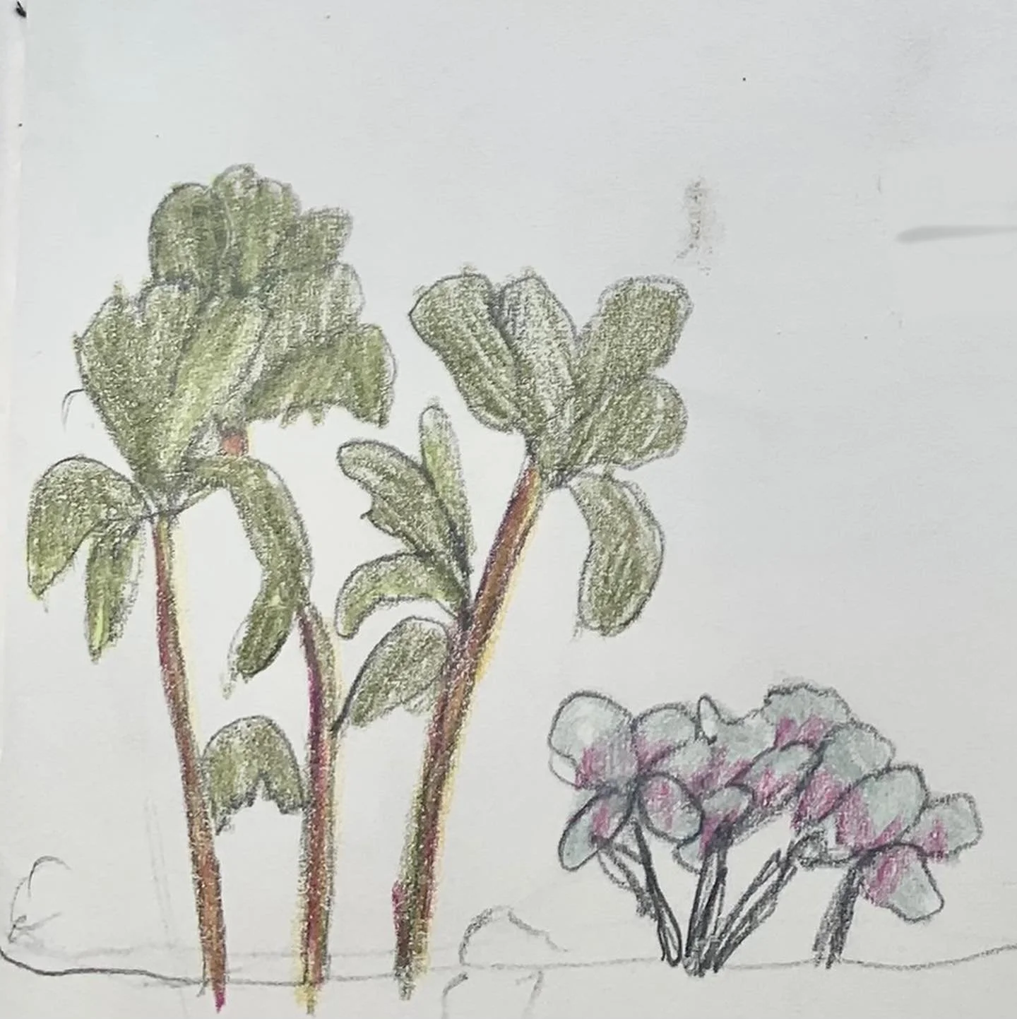My amazing daughter Averie has been helping me out on an illustration side quest during the holidays. When she saw me drawing lots of cavepeople and dinosaurs, she wanted to pitch in and created these amazing wee drawings. The trees were inspired by 