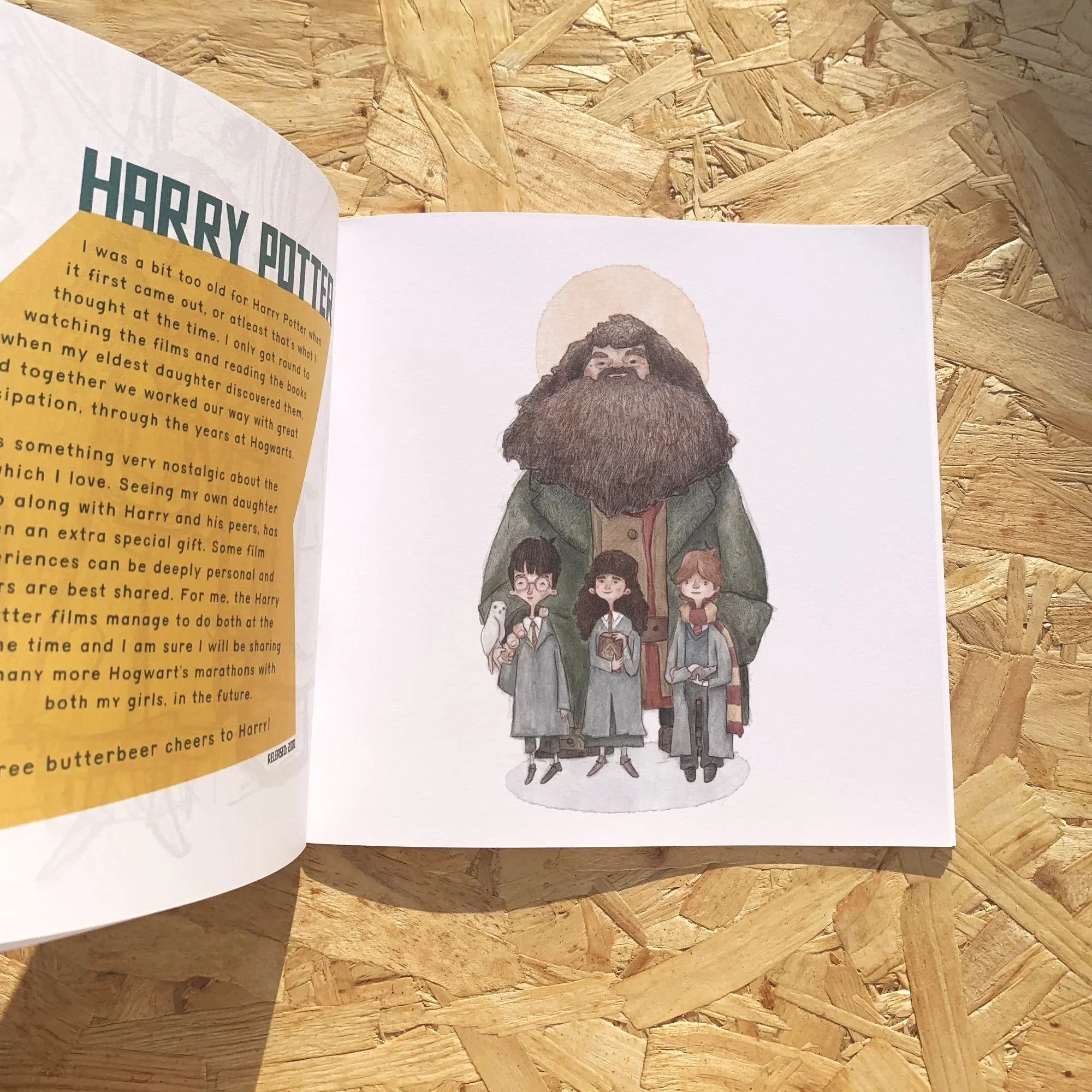 teenage-flciks-art-book-illustration-harry-potter-hagrid.jpg