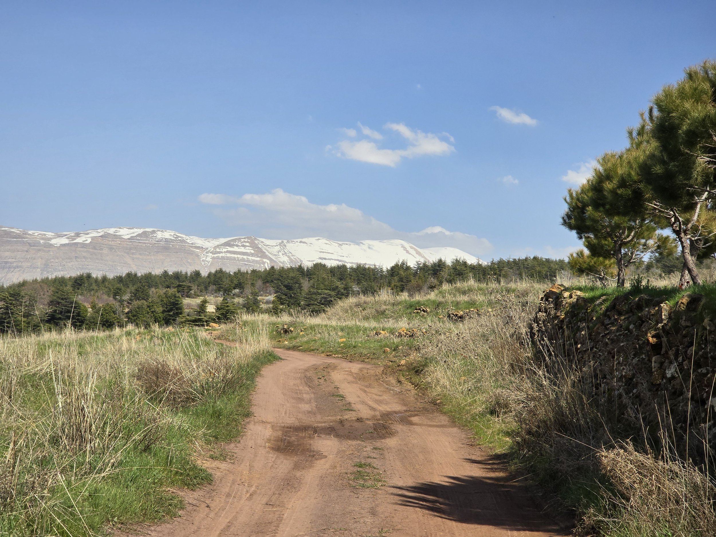 20240402_142631 (1).jpg