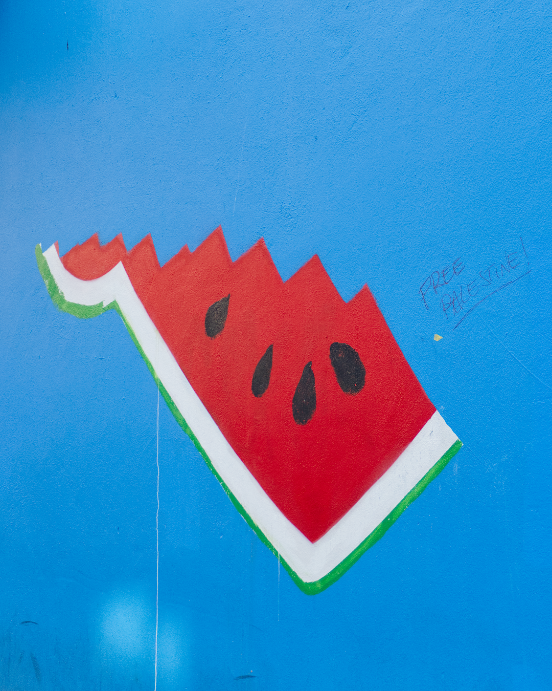 The Palestine solidarity remixing of Maser's 'Repeal the 8th' artwork, Project Arts Centre