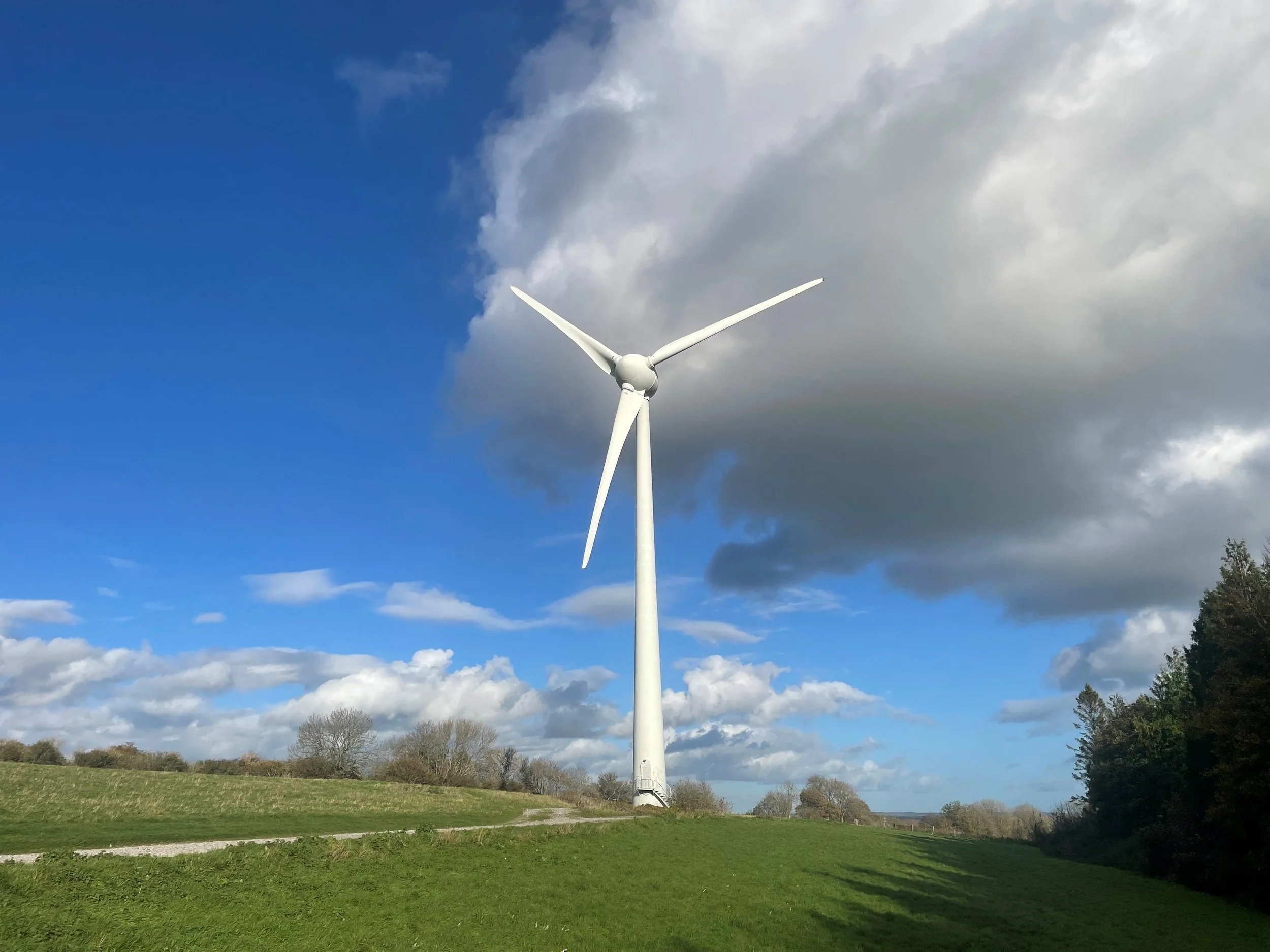 Carbon Auditing and Certification