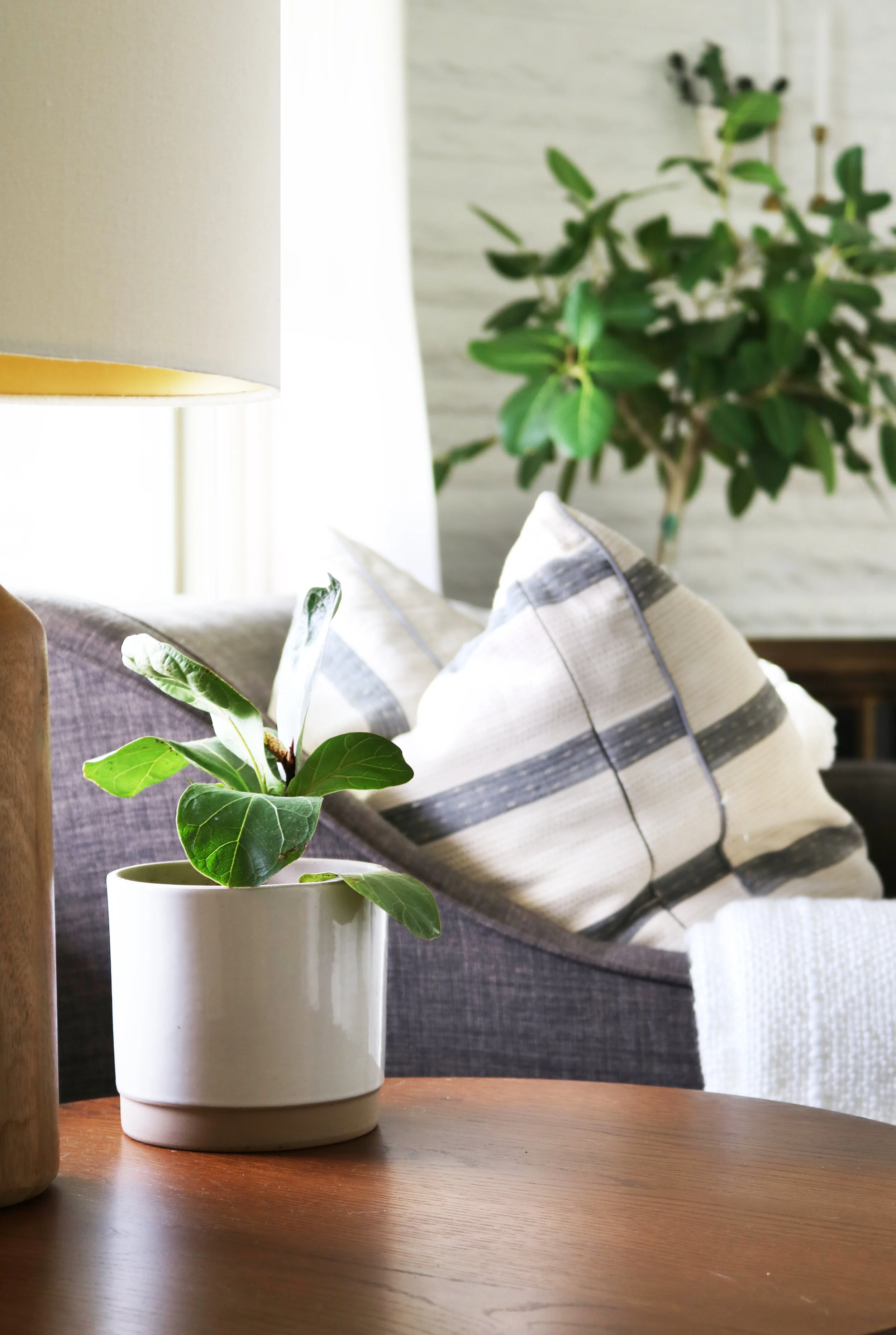 Michelle Reichel Interiors _ Midcentury Modern Meets Boho