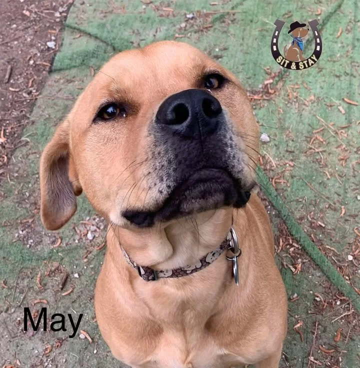 Cooper.jpg