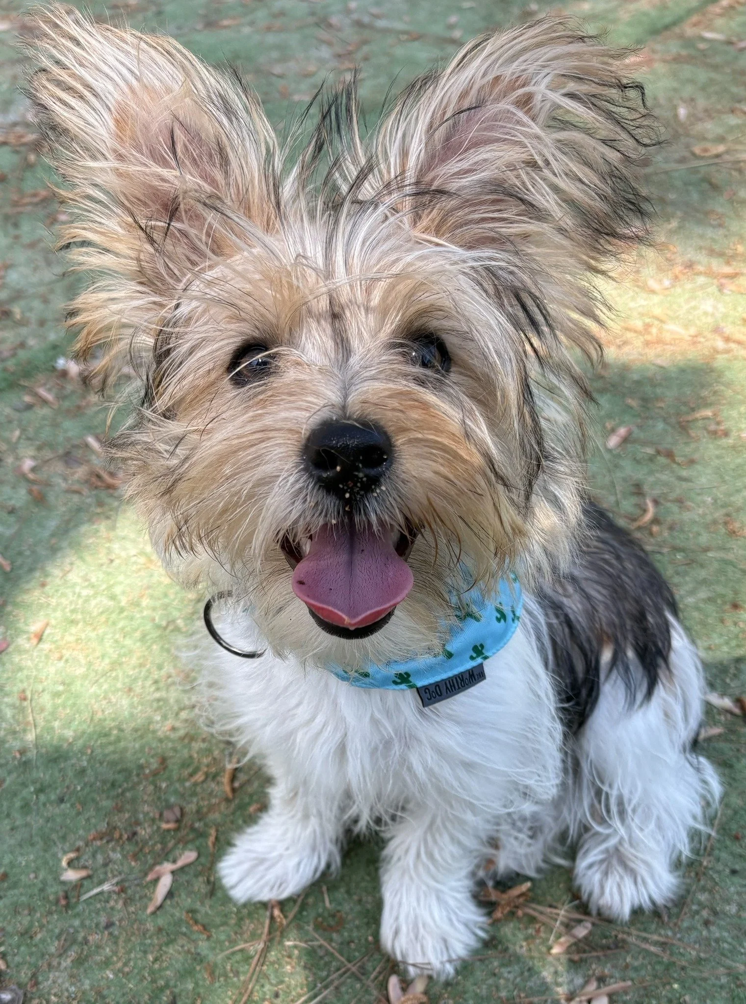 659725449_1782305759825122_6234463792630537910_n.jpg