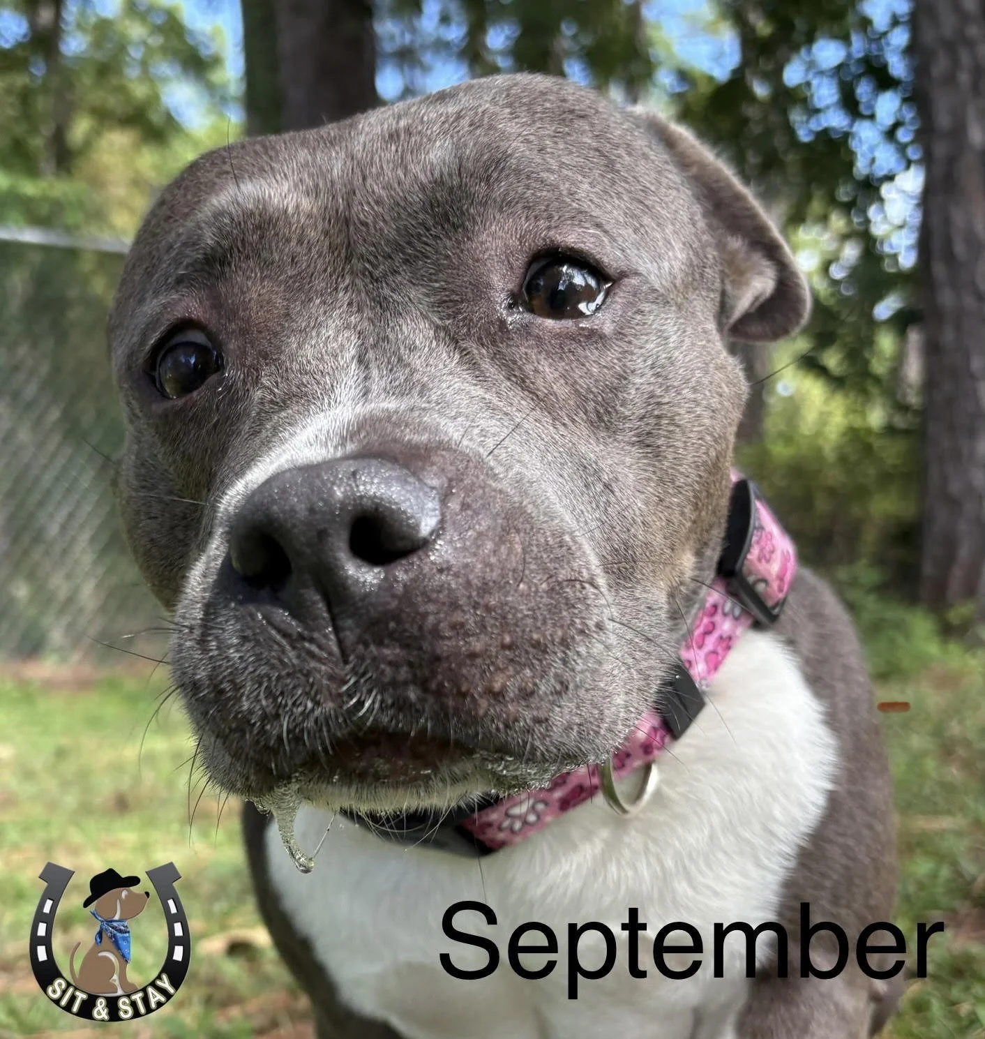 Greta POTM Pic.jpg