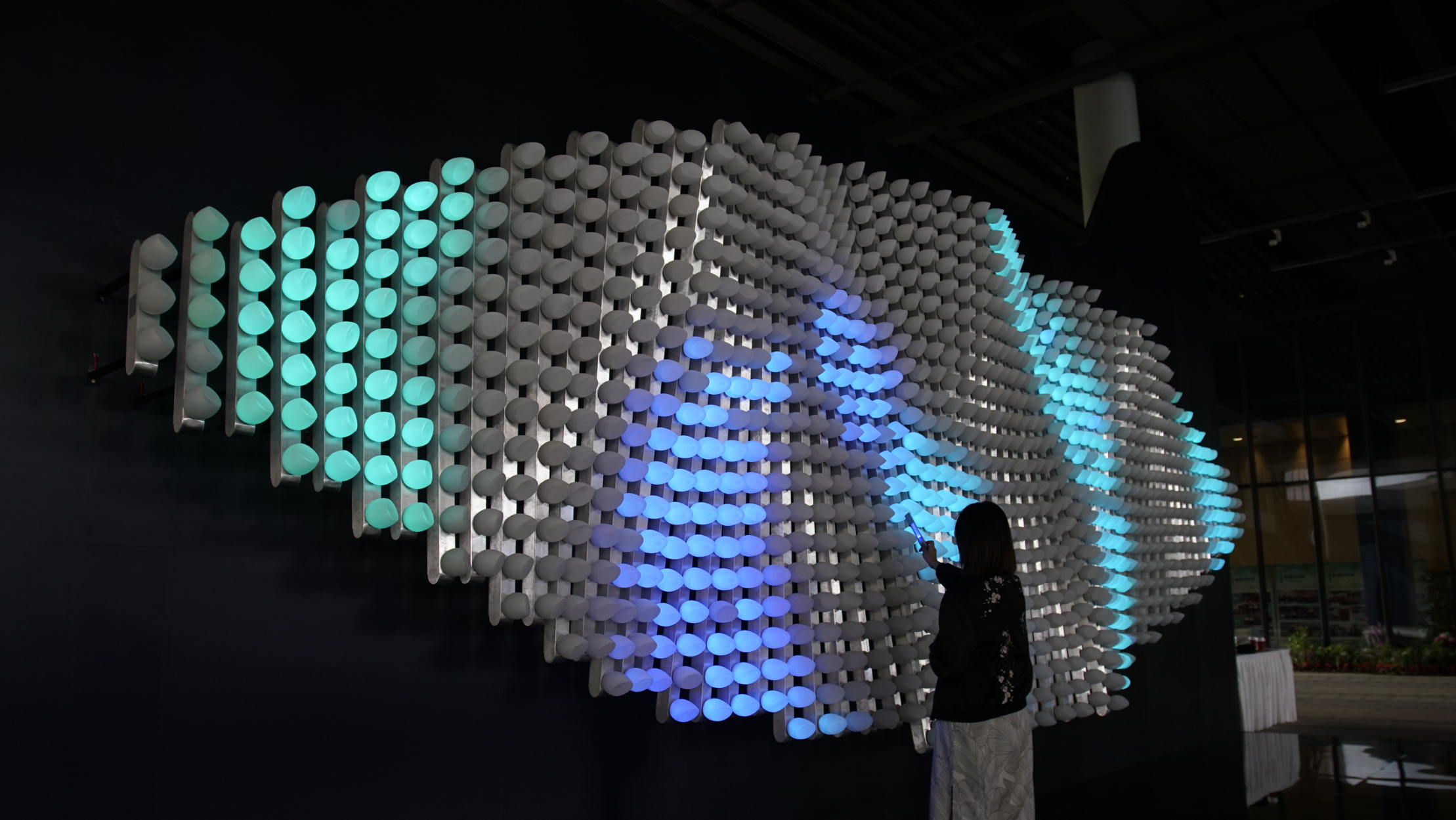 Installation was being featured in the Alibaba TES Summit