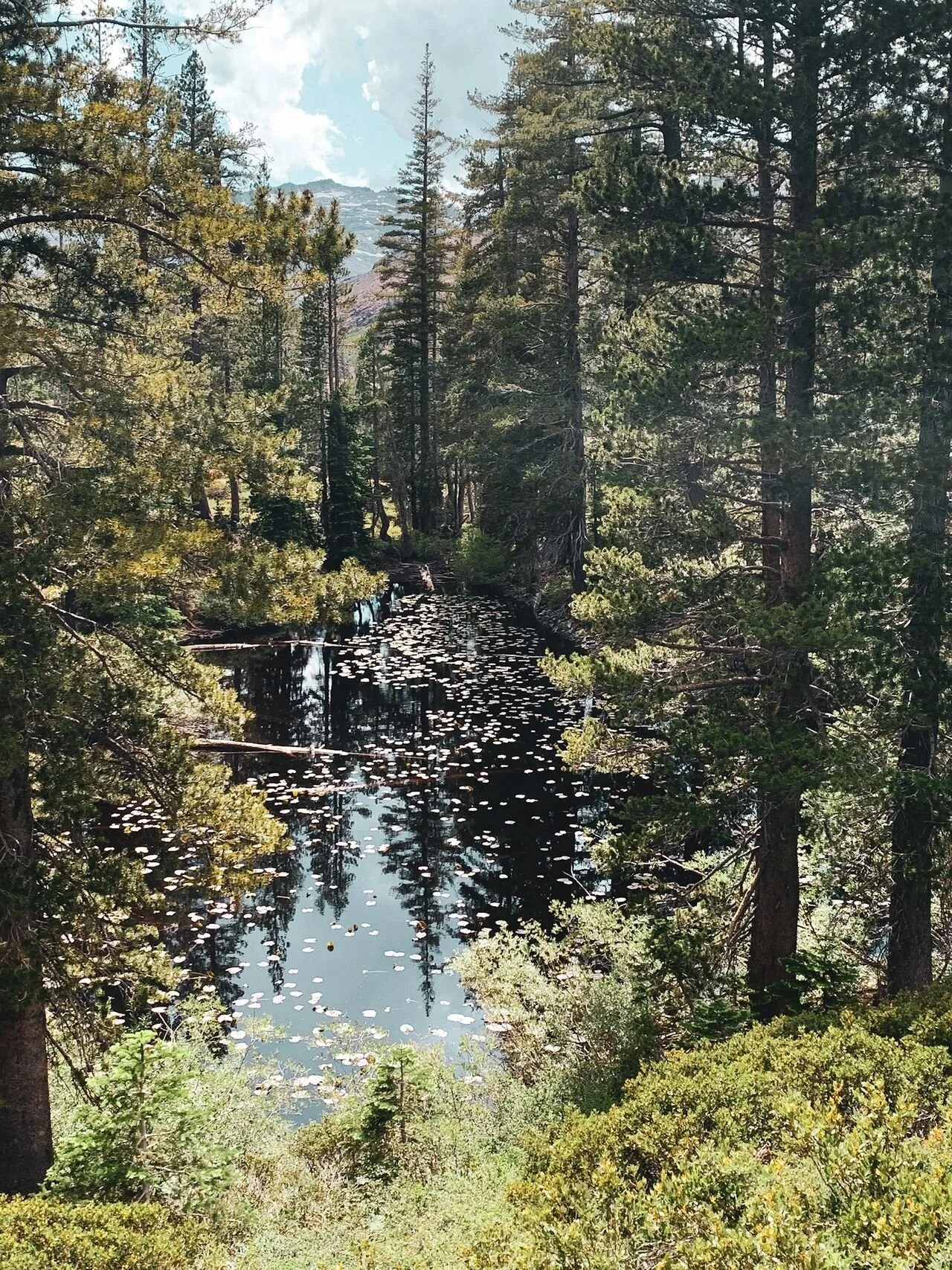 Backpacking Gilmore Lake