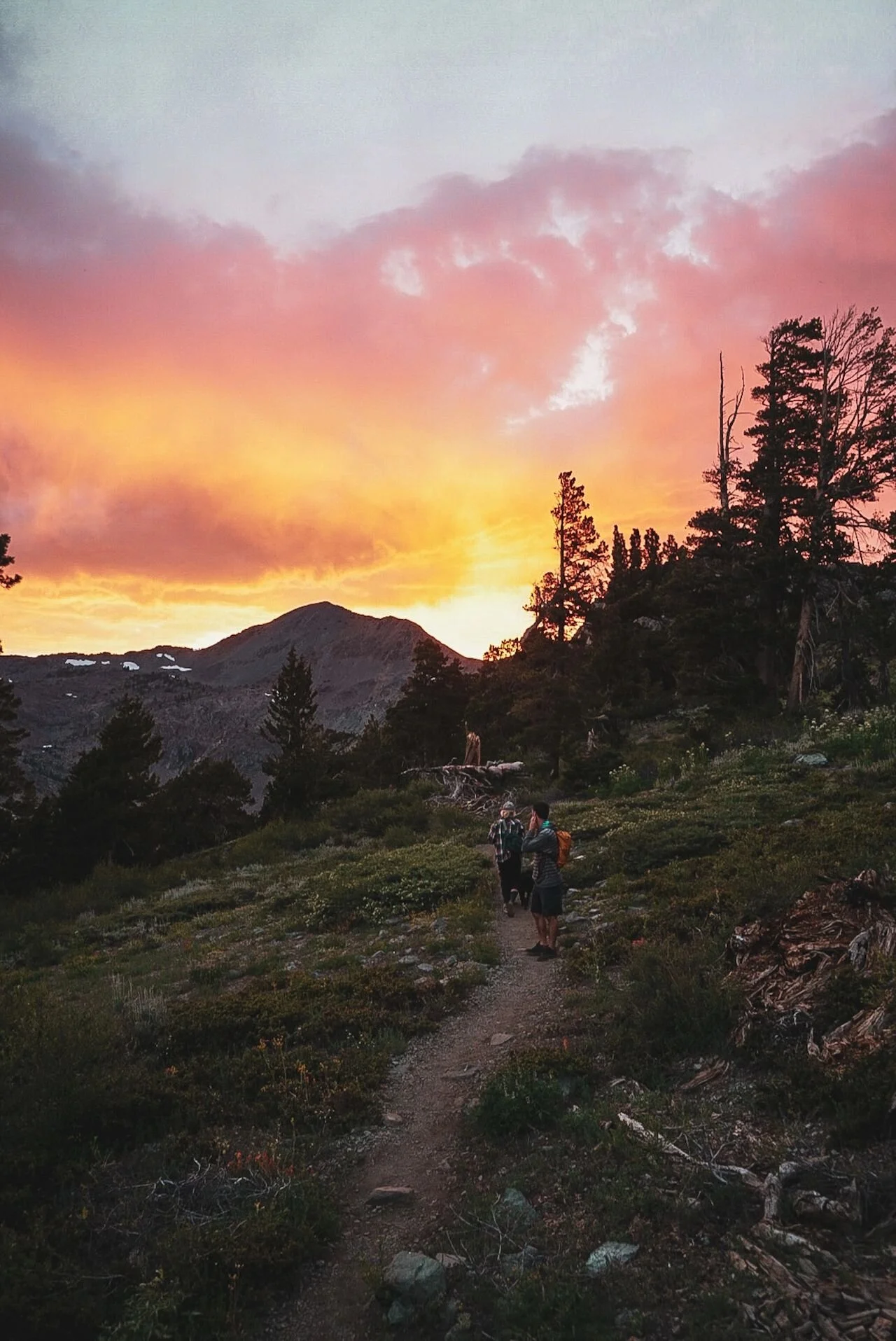 Pacific Crest Trail