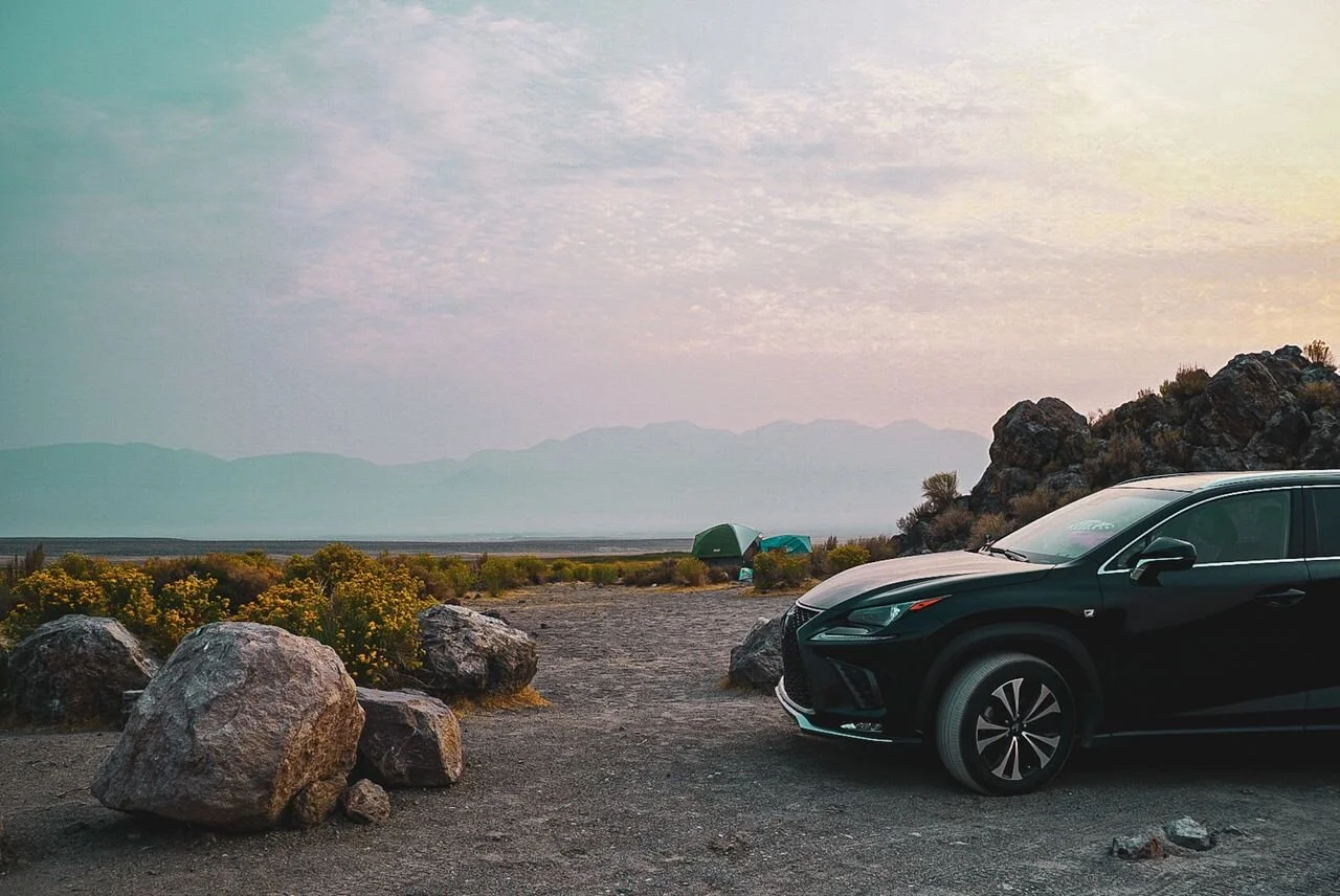 Wild Willy's Hot Springs Campsite