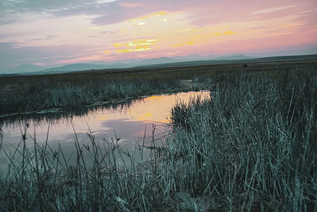 Wild Willy's Hot Springs