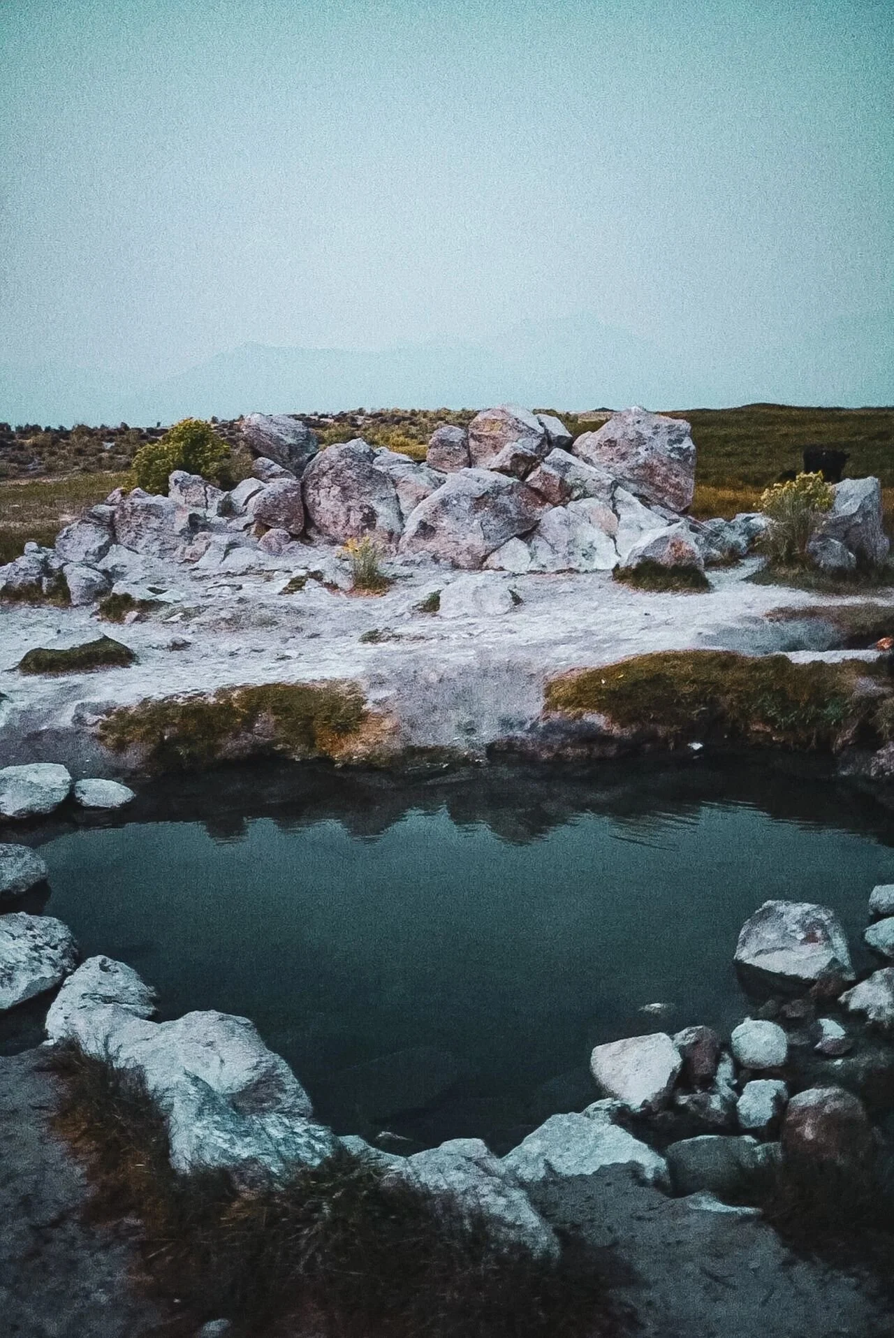 Wild Willy's Hot Springs