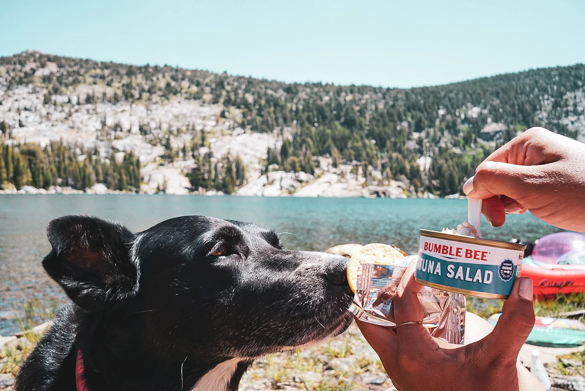 Backpackn Foodie
