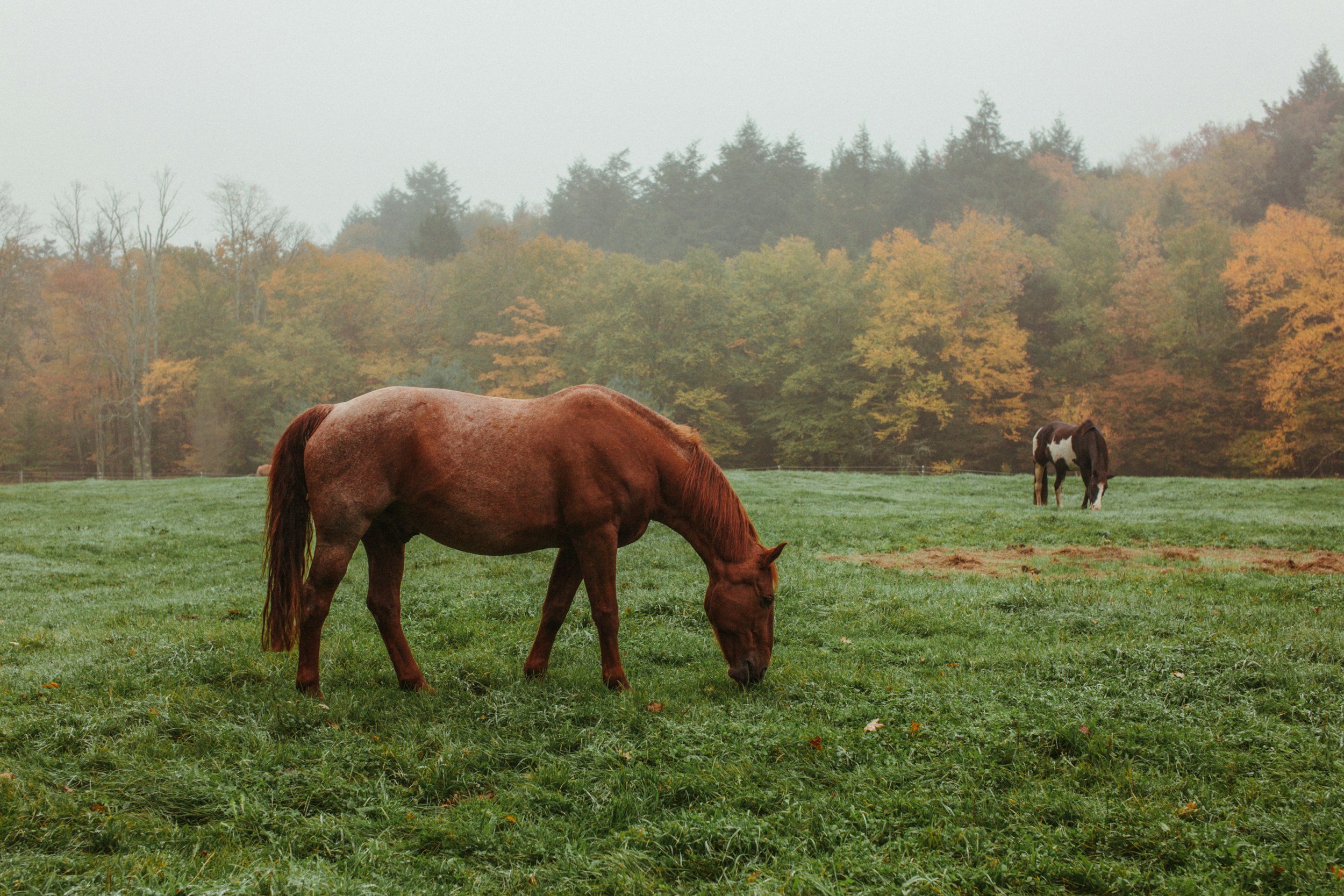 unsplash-image-A6H7DEUv2qc.jpg