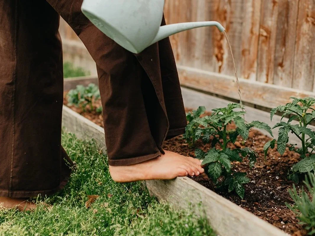 Spending time outside and grounding to support natural rhythms and reduce stress