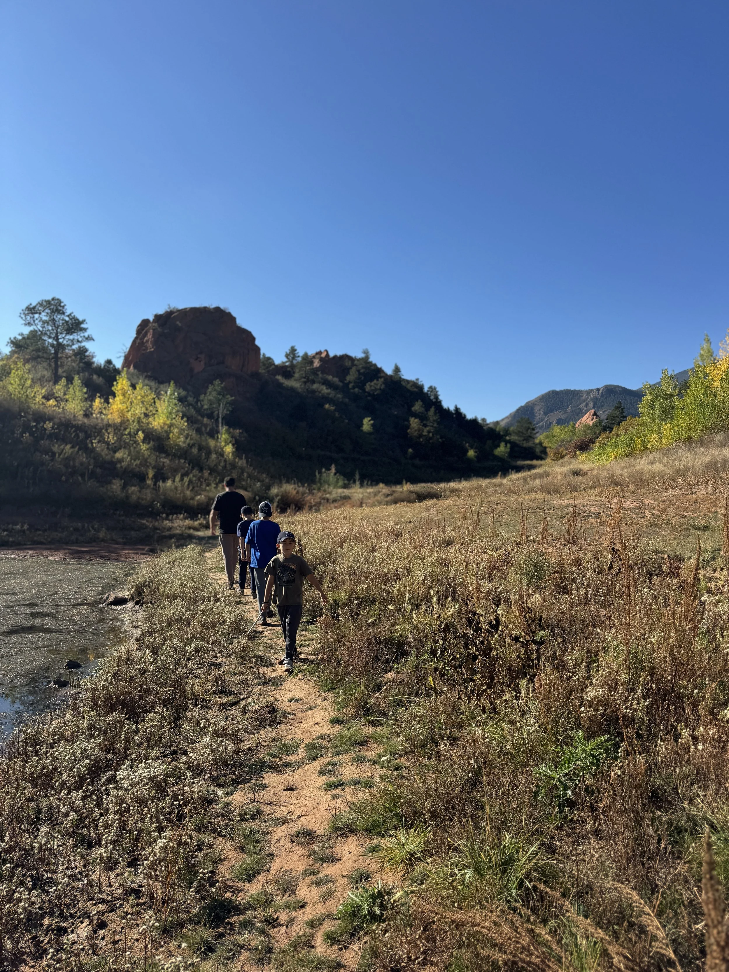 Daily walking as a simple way to support energy, digestion, and overall health