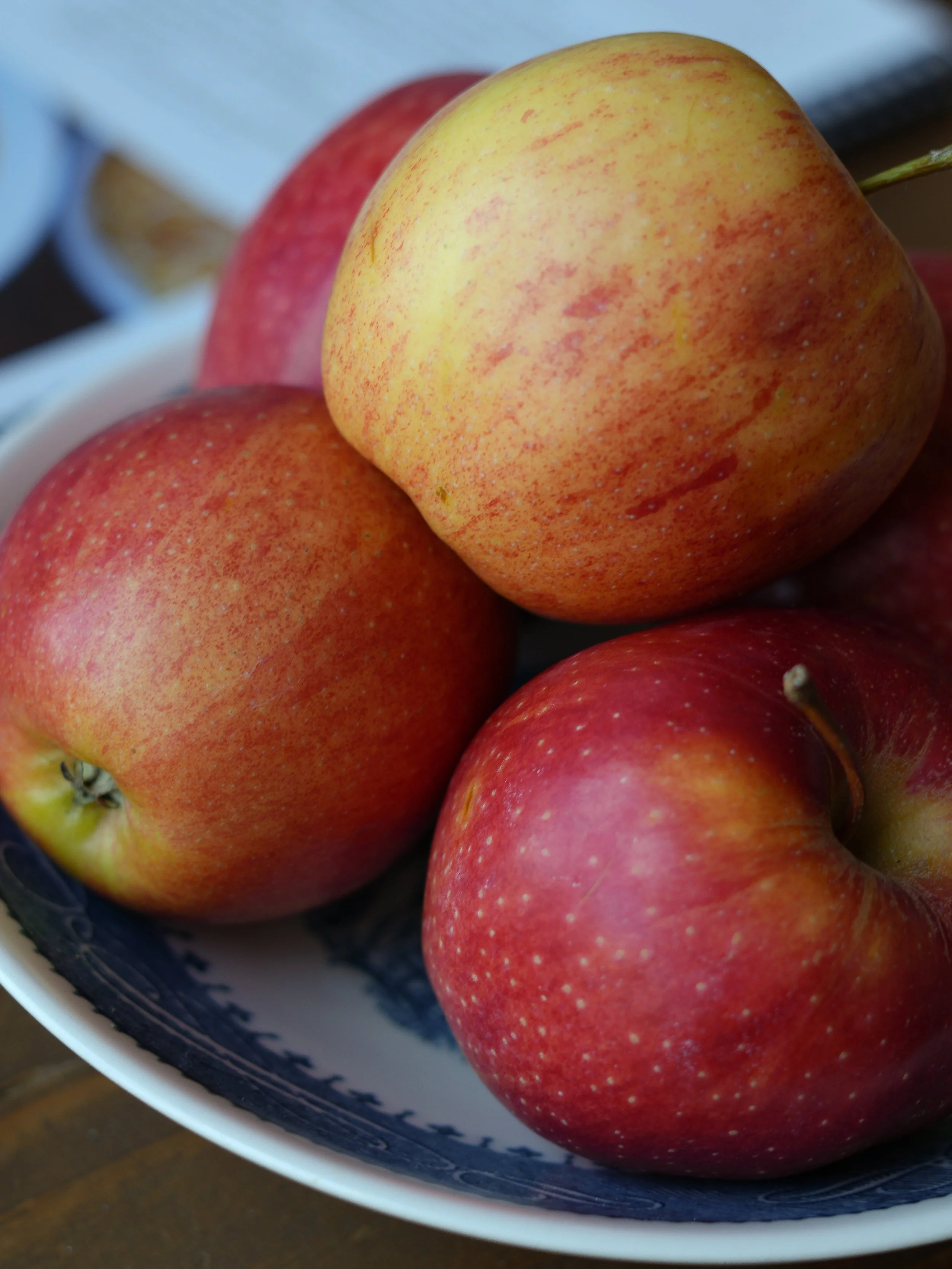 seasonal eating benefits