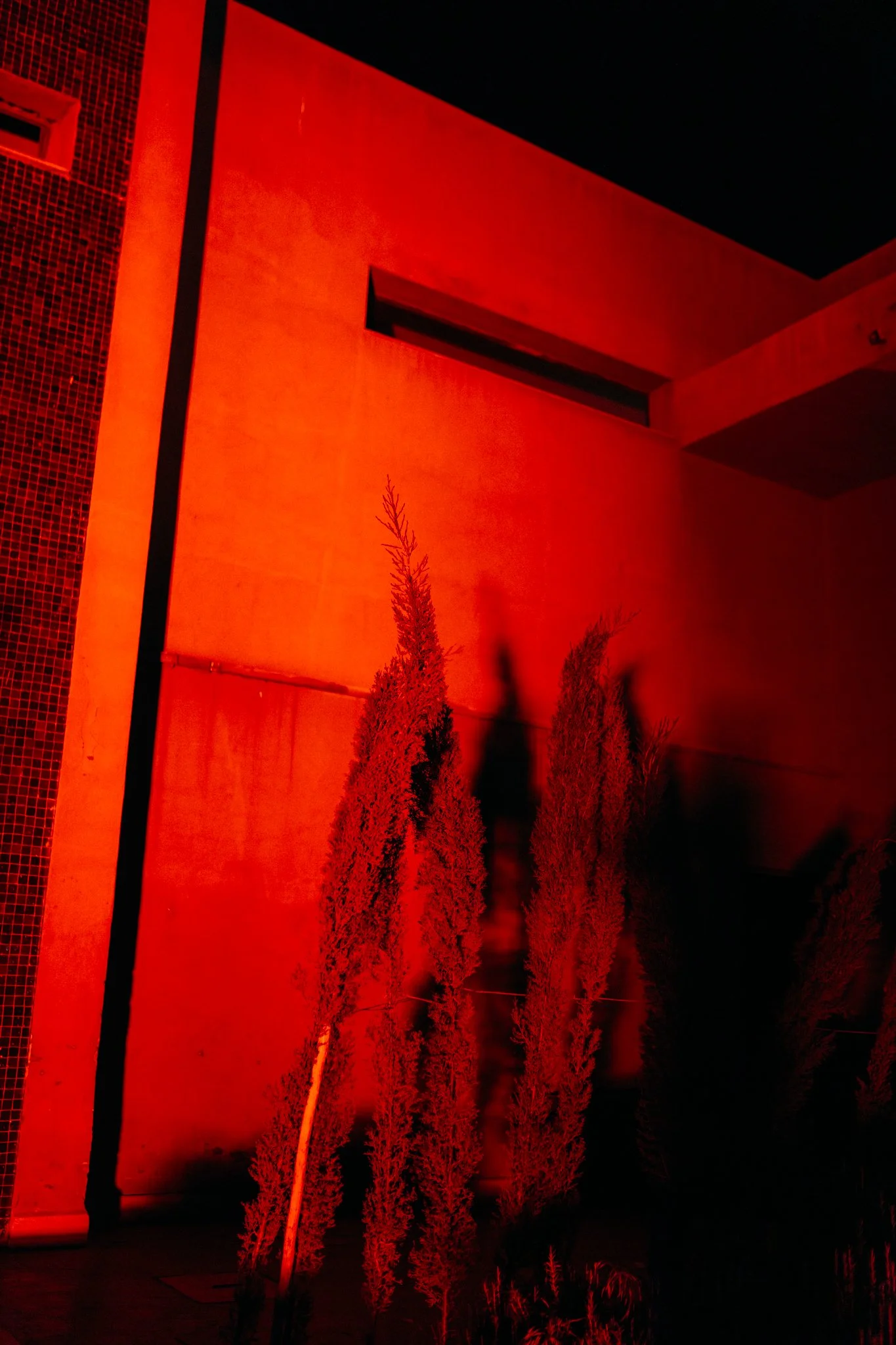 Oasis Festival – @joshuahiatt (1 of 1)-2.jpg