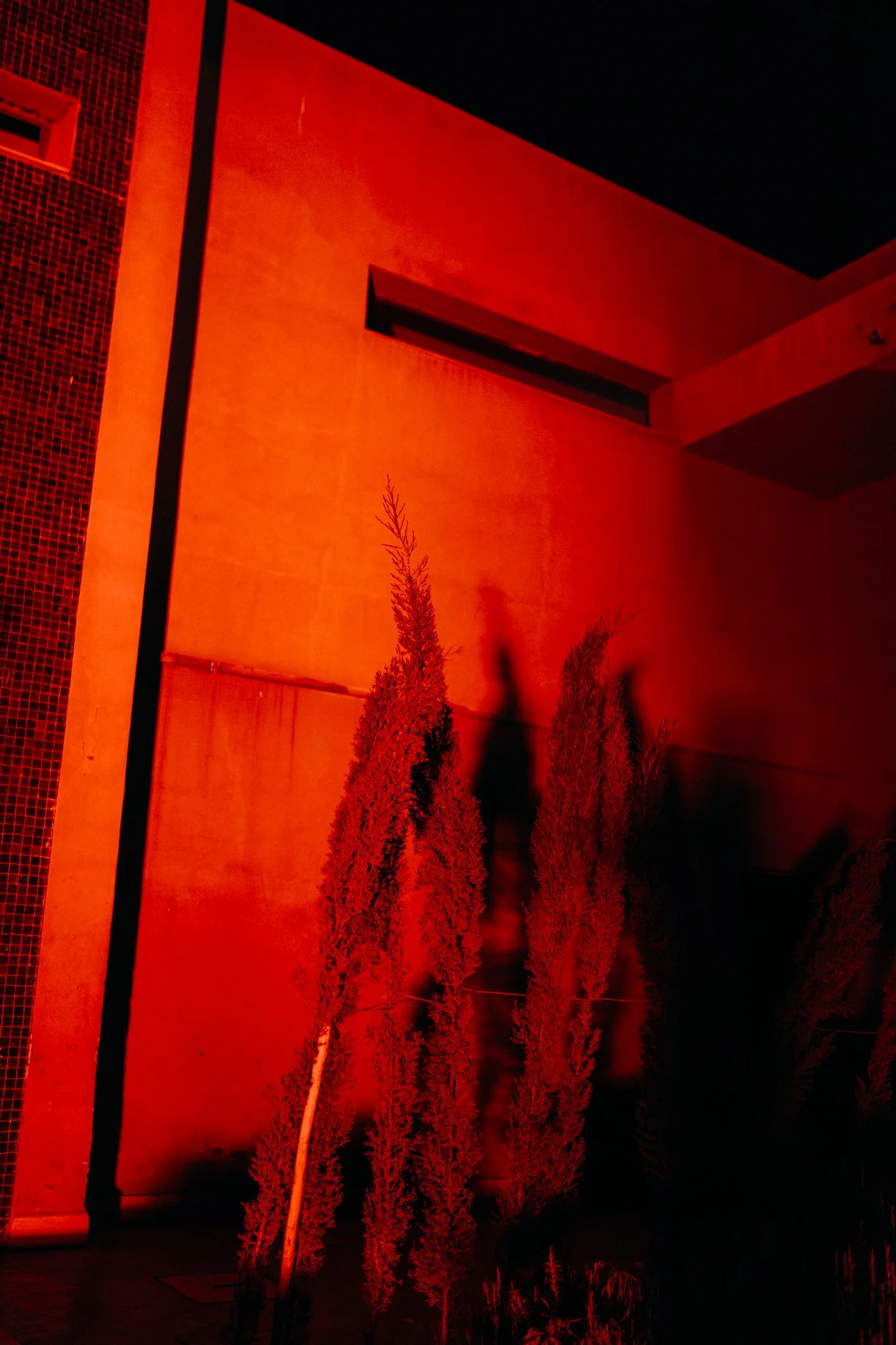 Oasis Festival – @joshuahiatt (1 of 1)-2.jpg