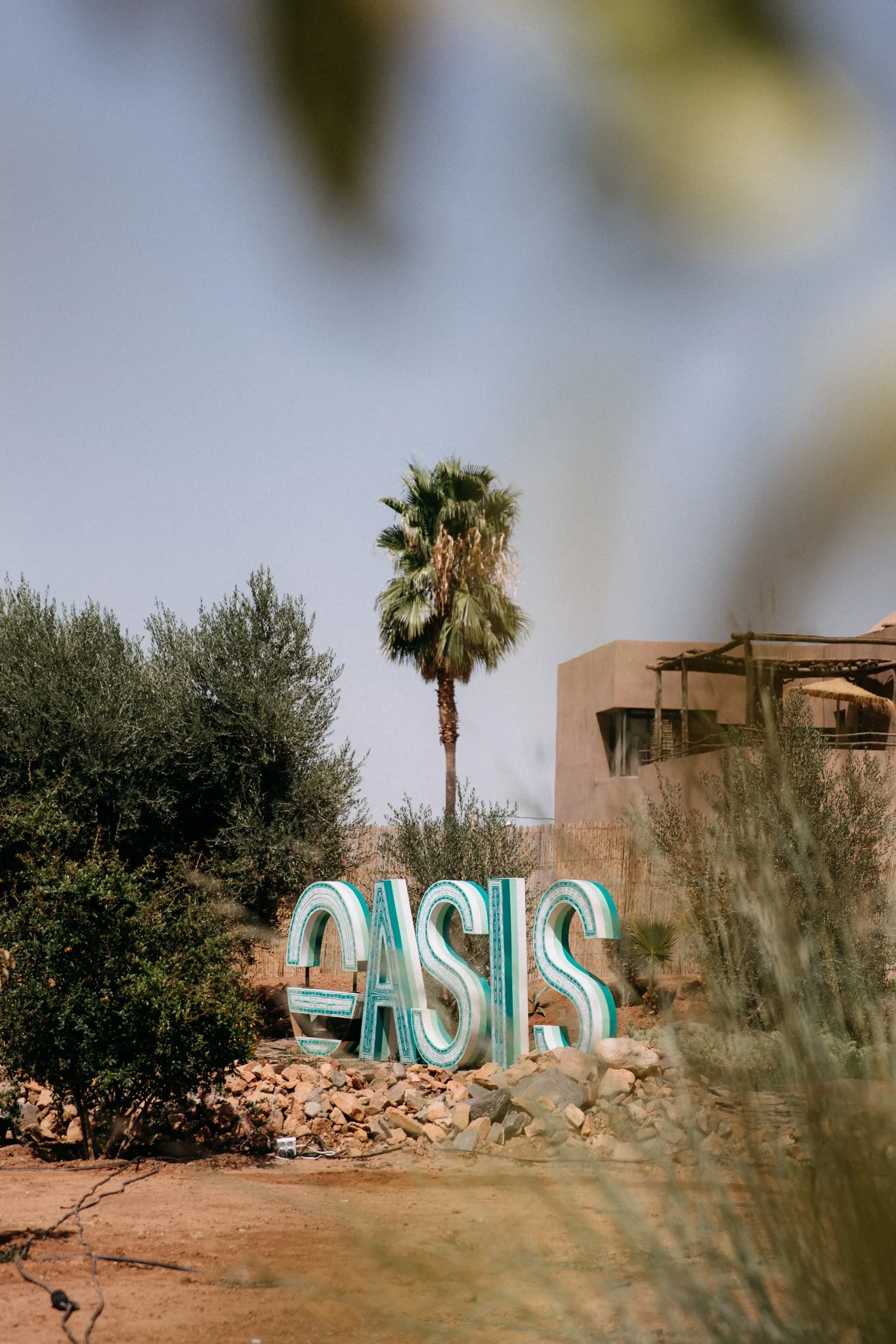 Oasis Festival – @joshuahiatt (20 of 65).jpg