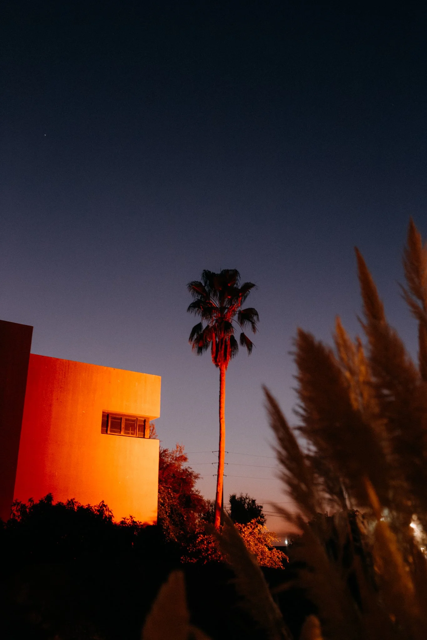 Oasis Festival – @joshuahiatt (1 of 1)-10.jpg