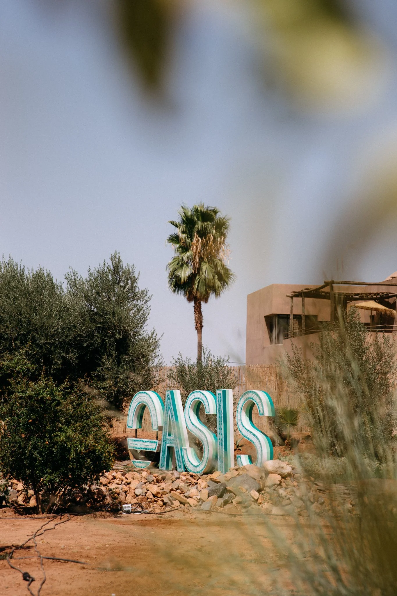 Oasis Festival – @joshuahiatt (35 of 135).jpg