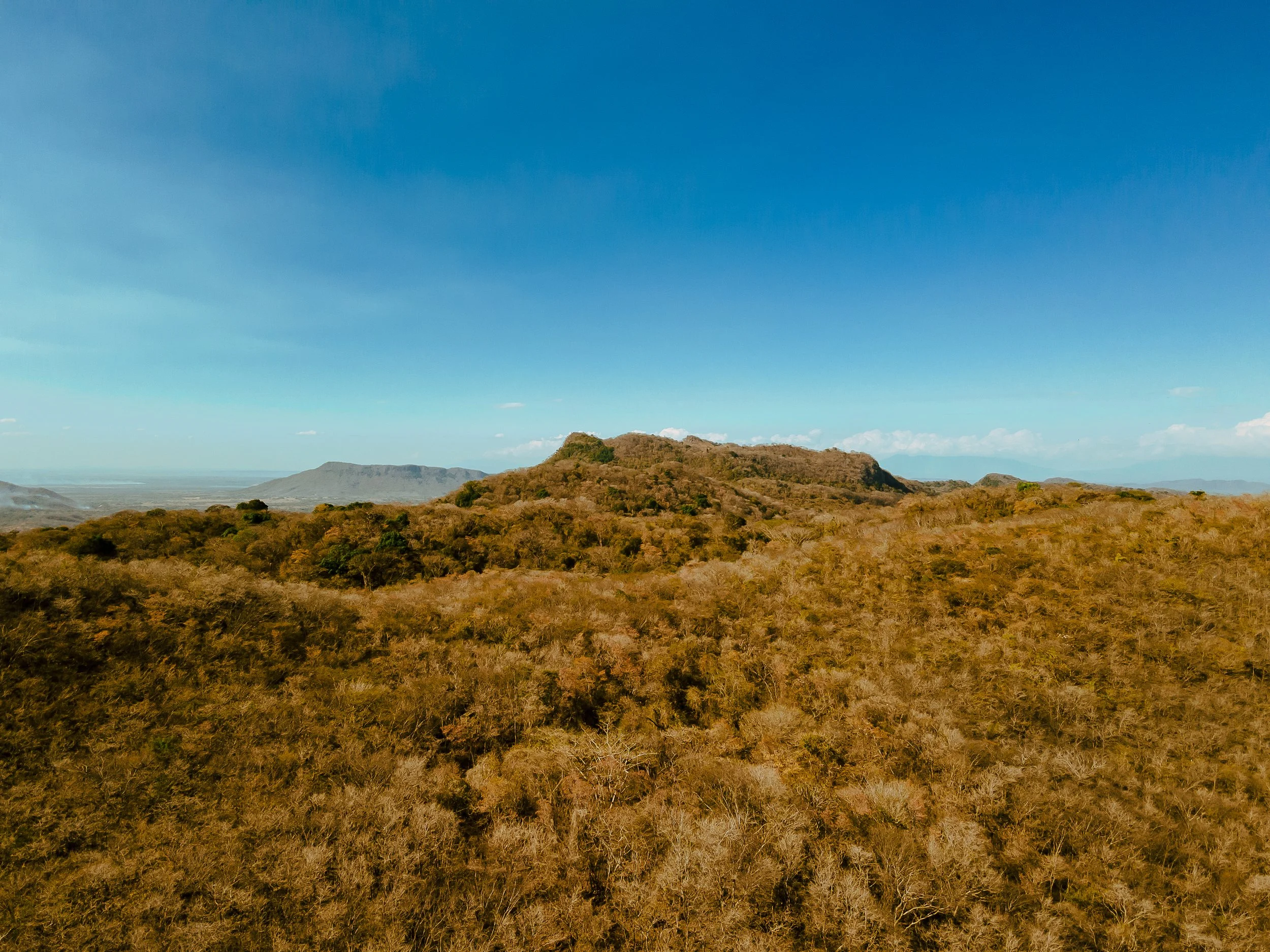 DJI_0766.jpg