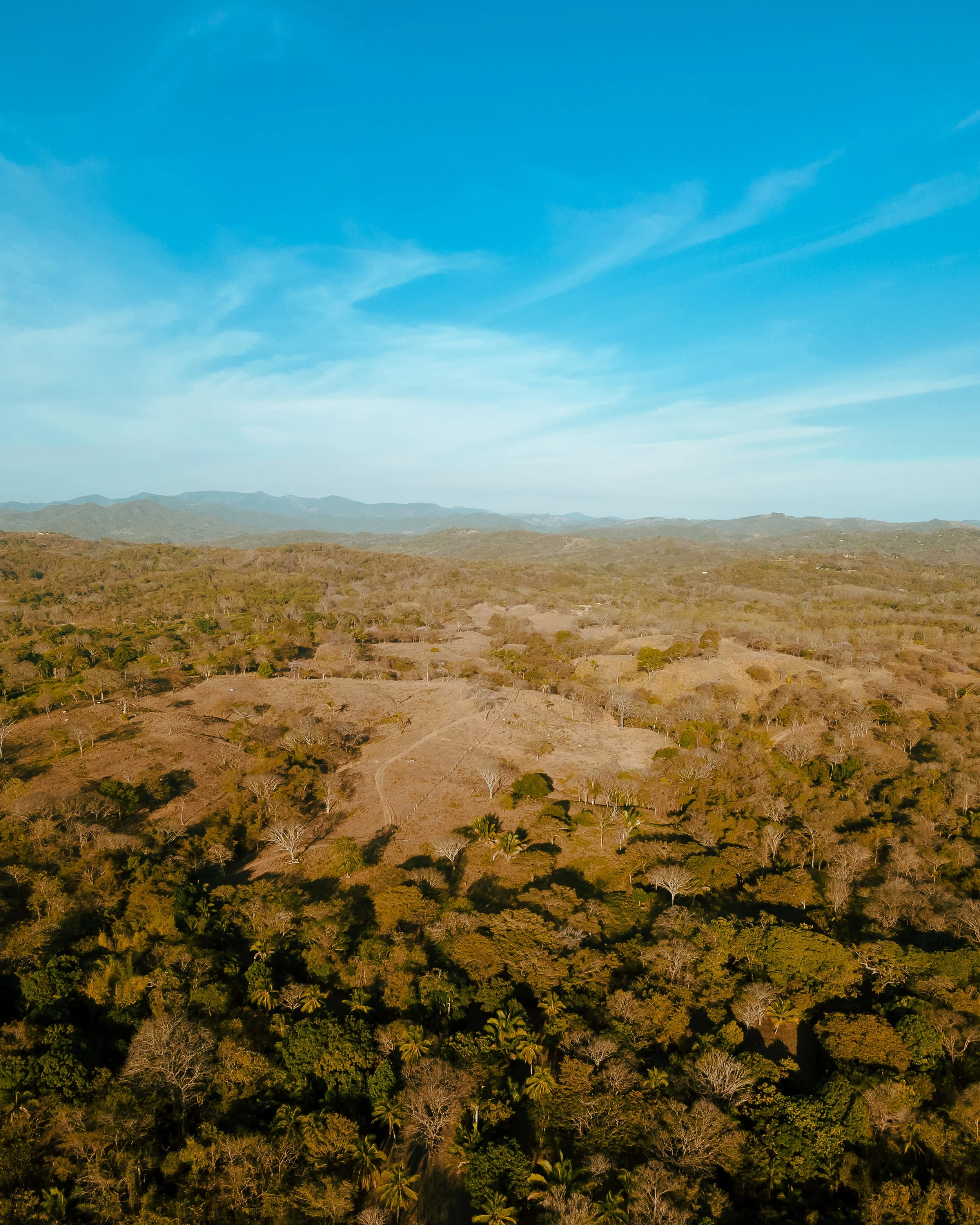DJI_0723-Pano.jpg