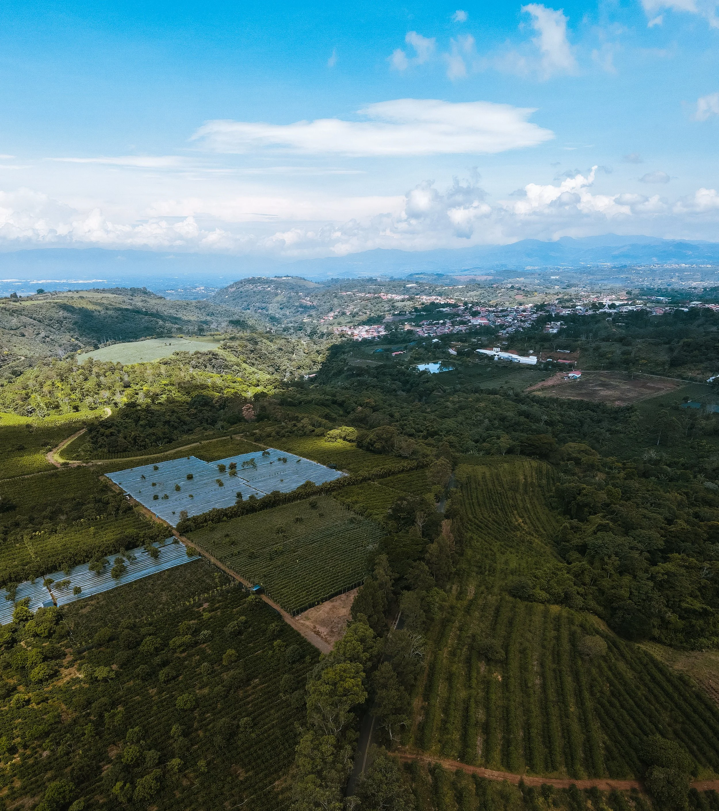 Photo_1080295428_DJI_4_jpg_7744336_0_20216710446_photo_original-Pano.jpg