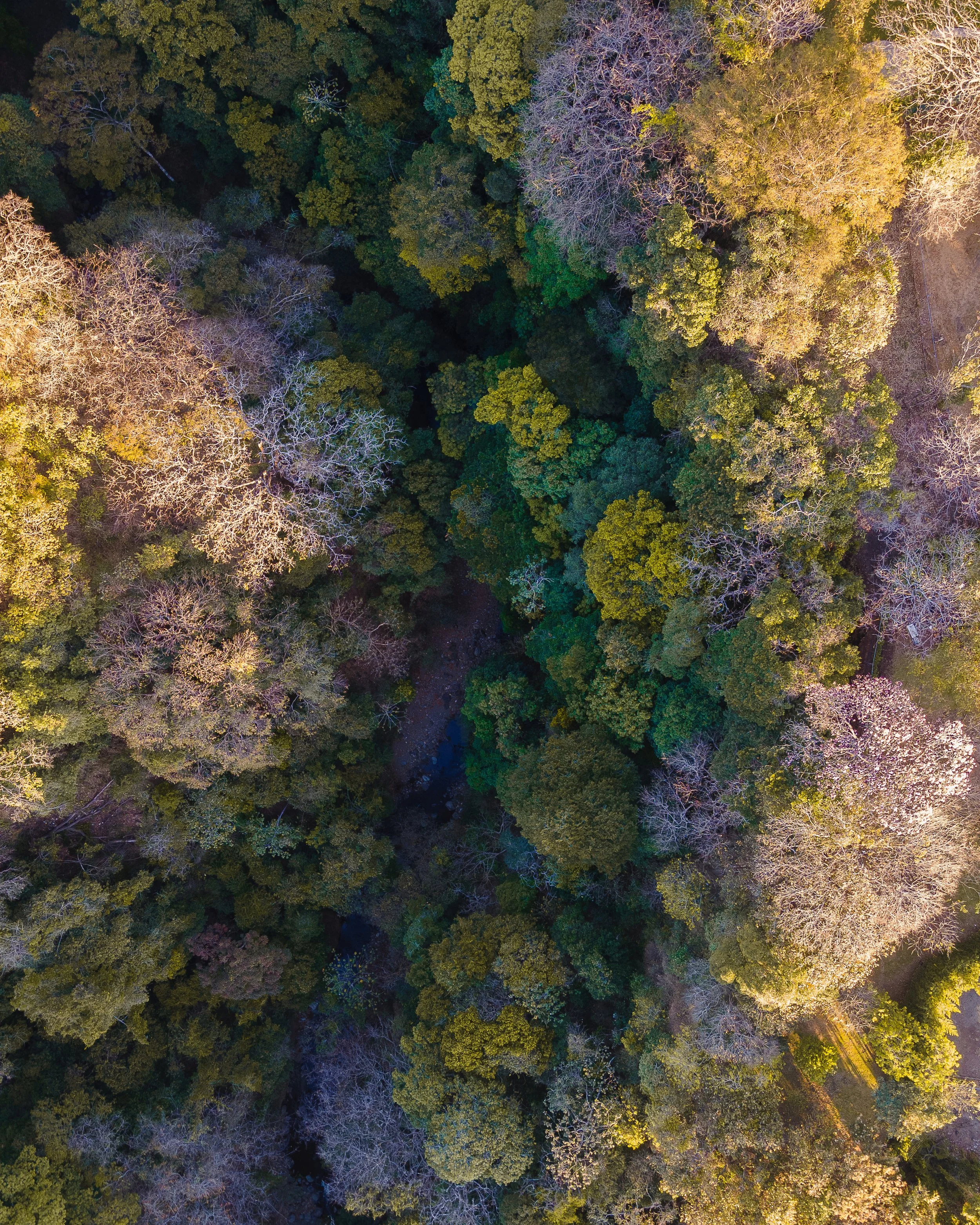 DJI_0607.jpg
