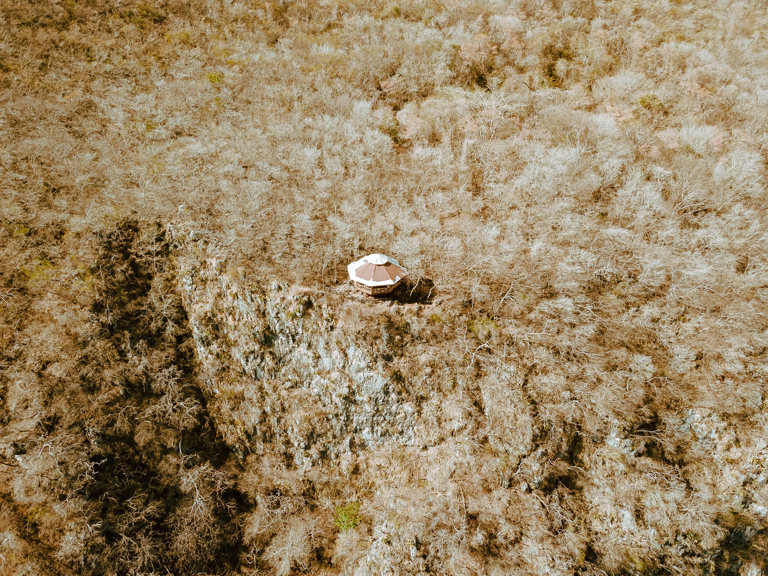 DJI_0767.jpg