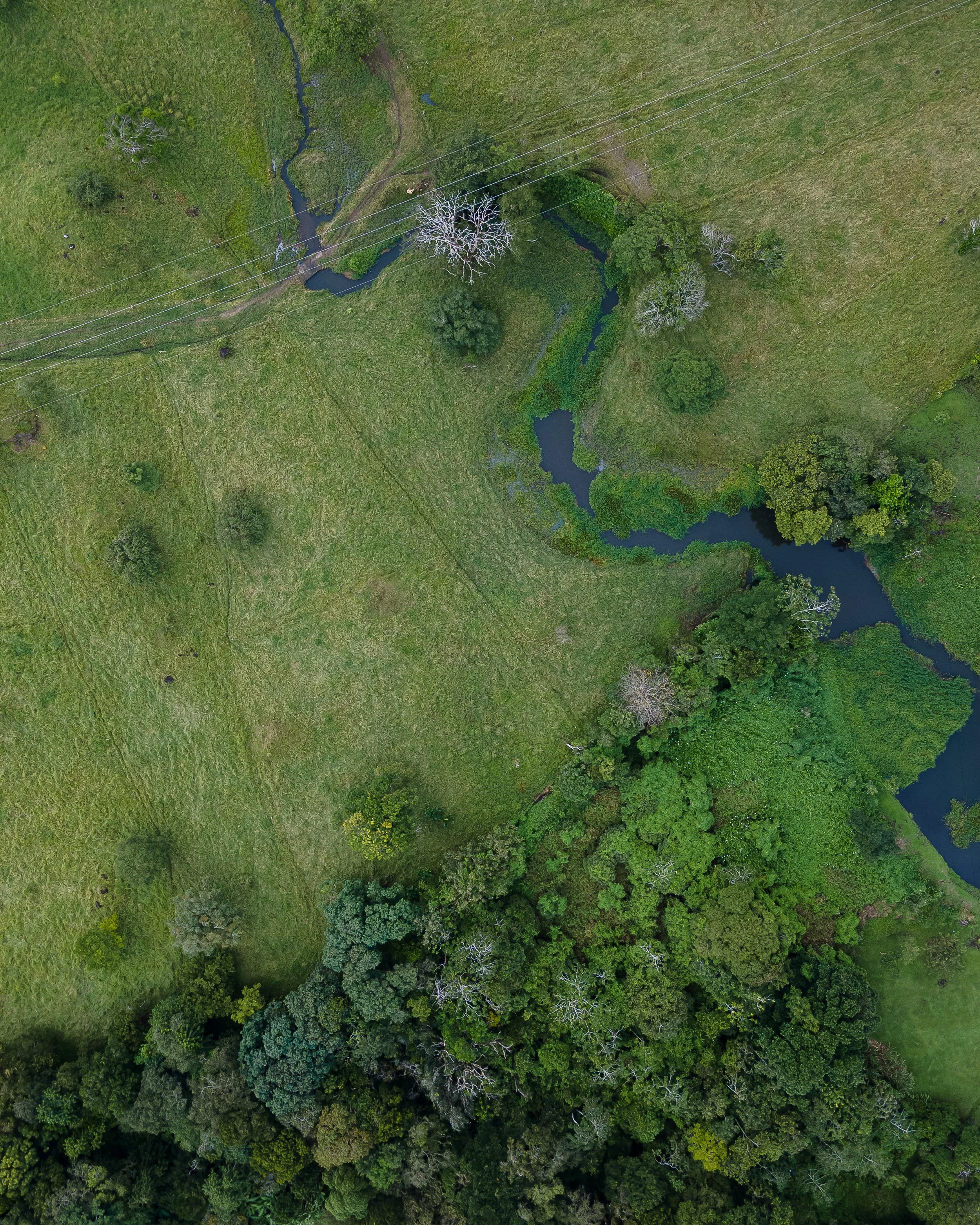 DJI_0980.jpg