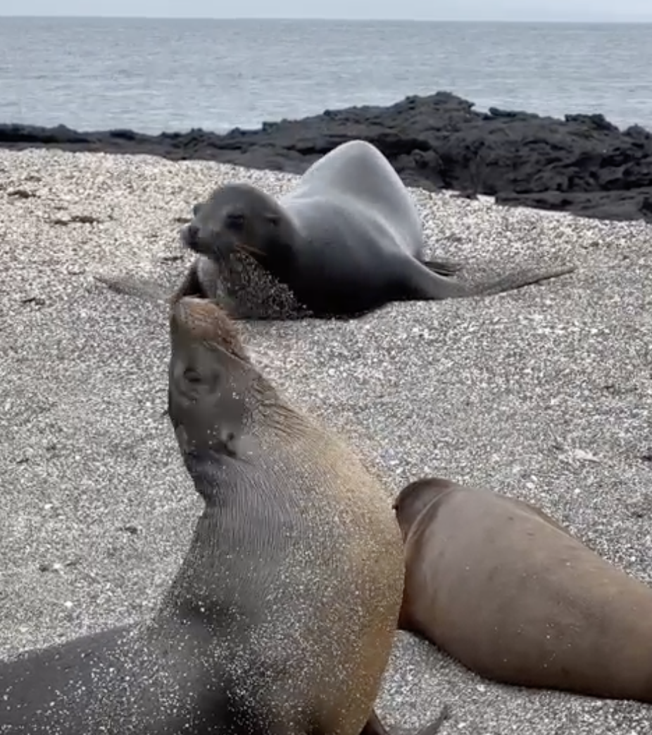 Screenshot 2024-06-04 at 8.59.11 PM.png