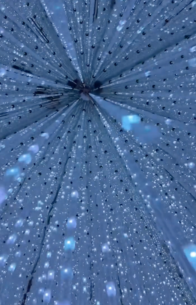 Screen Shot 2024-12-20 at 10.58.00 PM.png