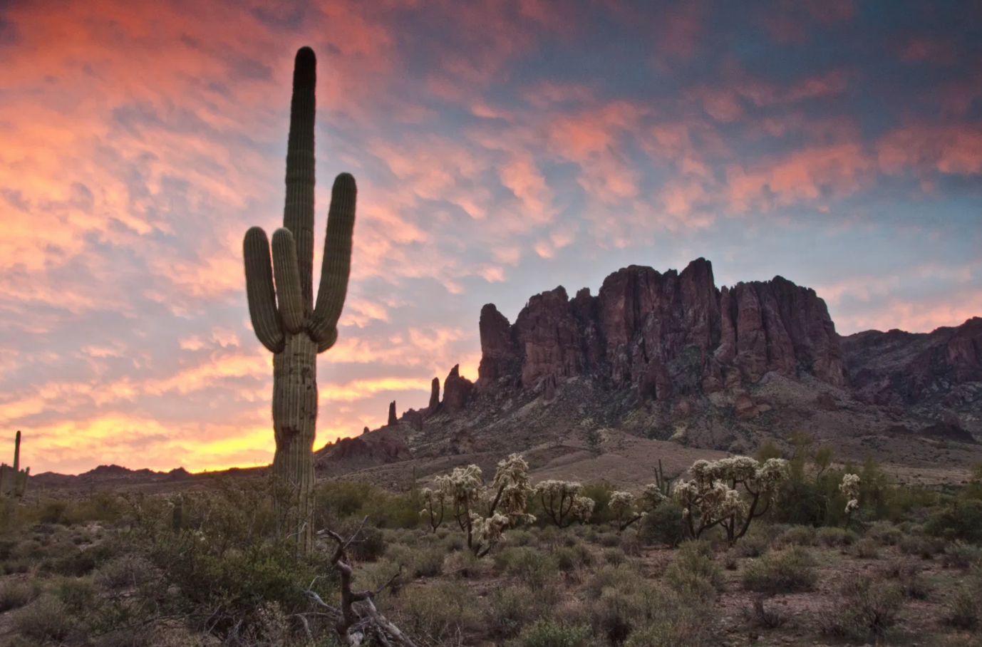 Screen Shot 2020-08-18 at 12.18.58 PM.png