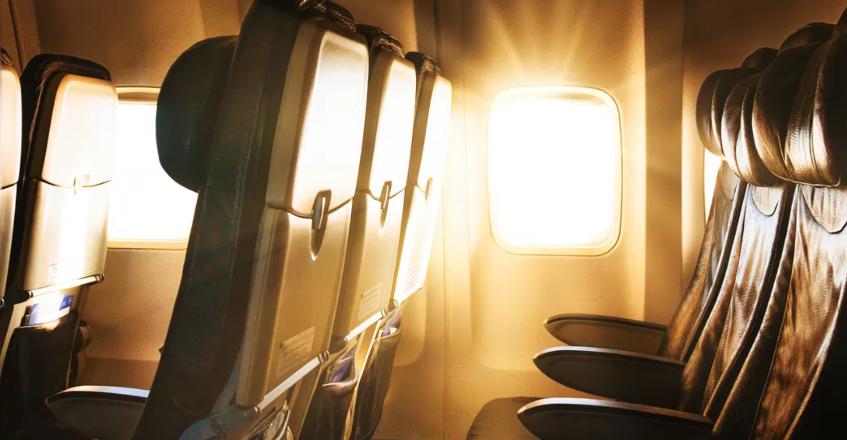 Screen Shot 2020-08-18 at 12.21.00 PM.png