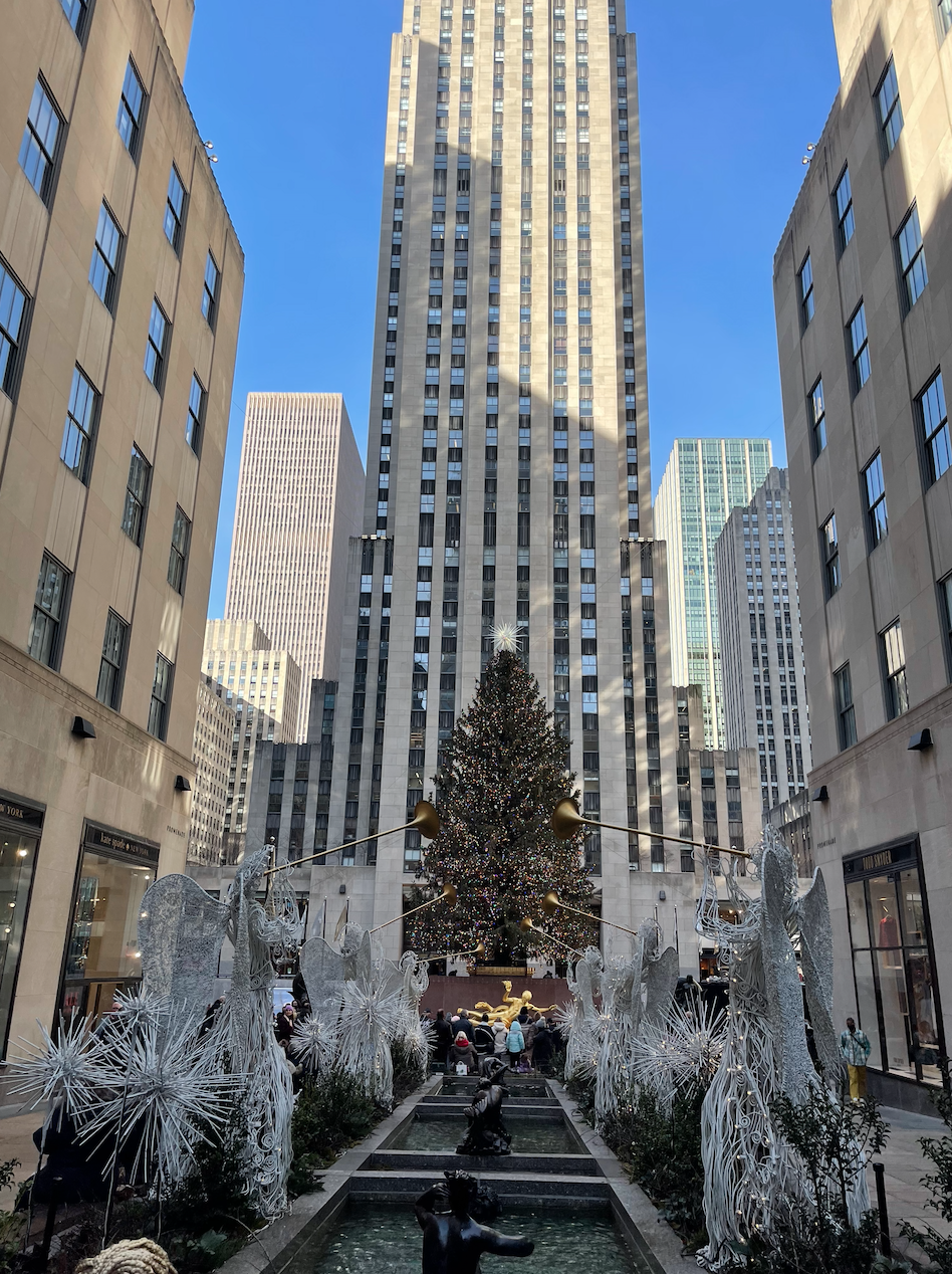 Screen Shot 2024-12-13 at 3.19.10 PM.png