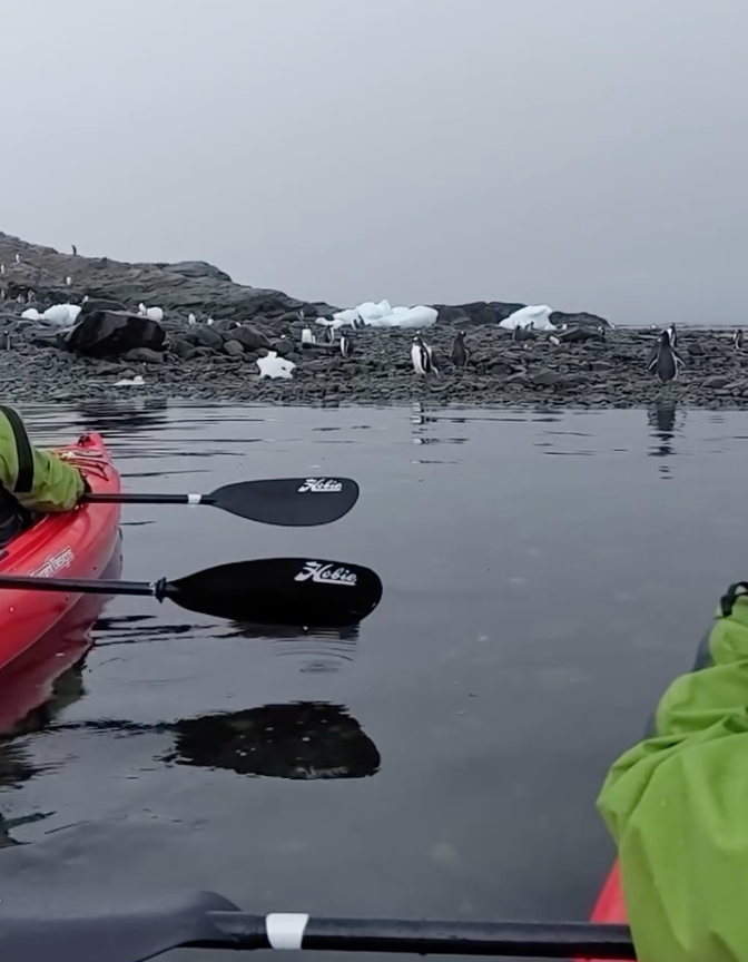 Screen Shot 2025-04-25 at 3.17.37 PM.png