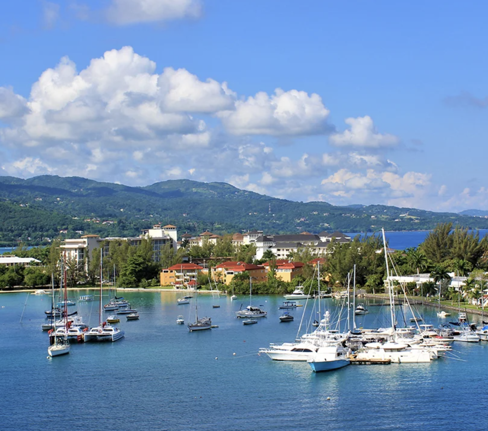 Screenshot 2024-05-18 at 1.24.06 PM.png