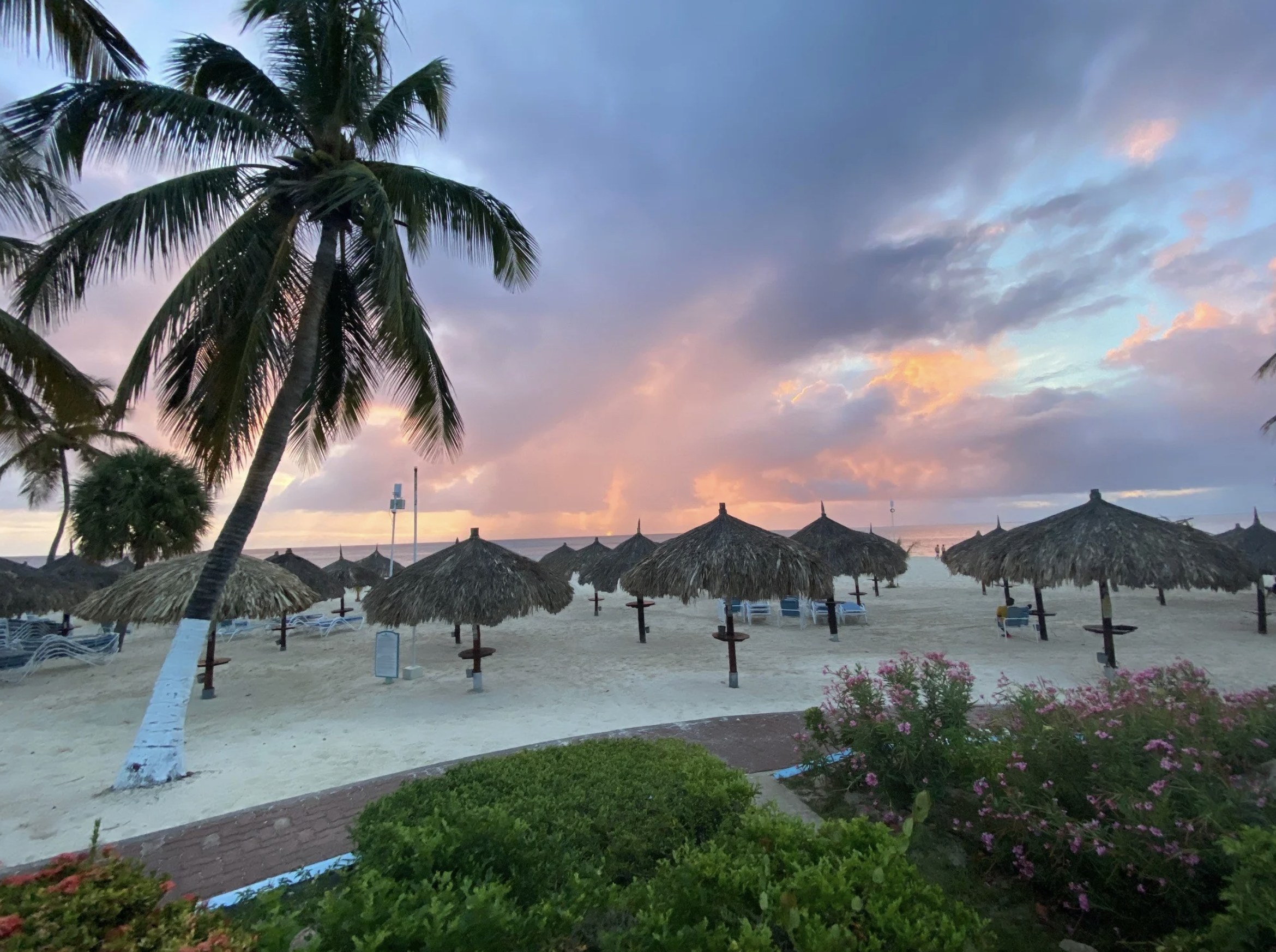 Screenshot 2024-05-18 at 1.16.05 PM.png