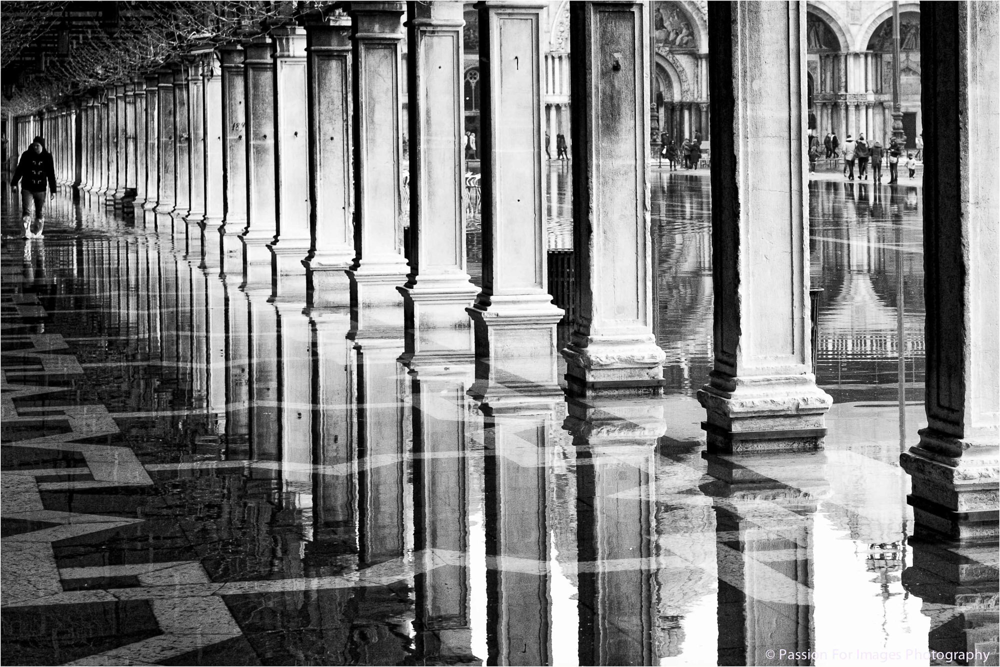 venice winter blues