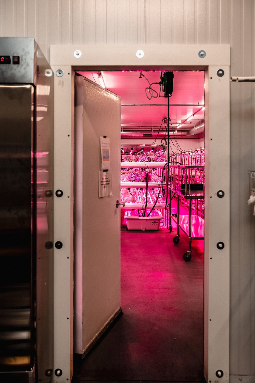 door to grow room from biosecurity room