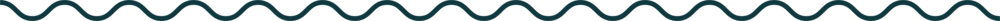 long squiggle for blog posts divider.png