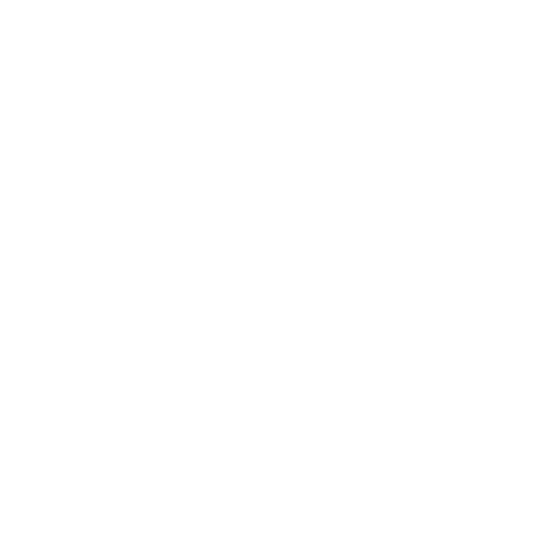 'Ai Pono Foundation