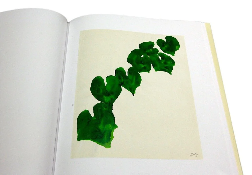 Ellsworth Kelly Plant Drawings  bookdummypress